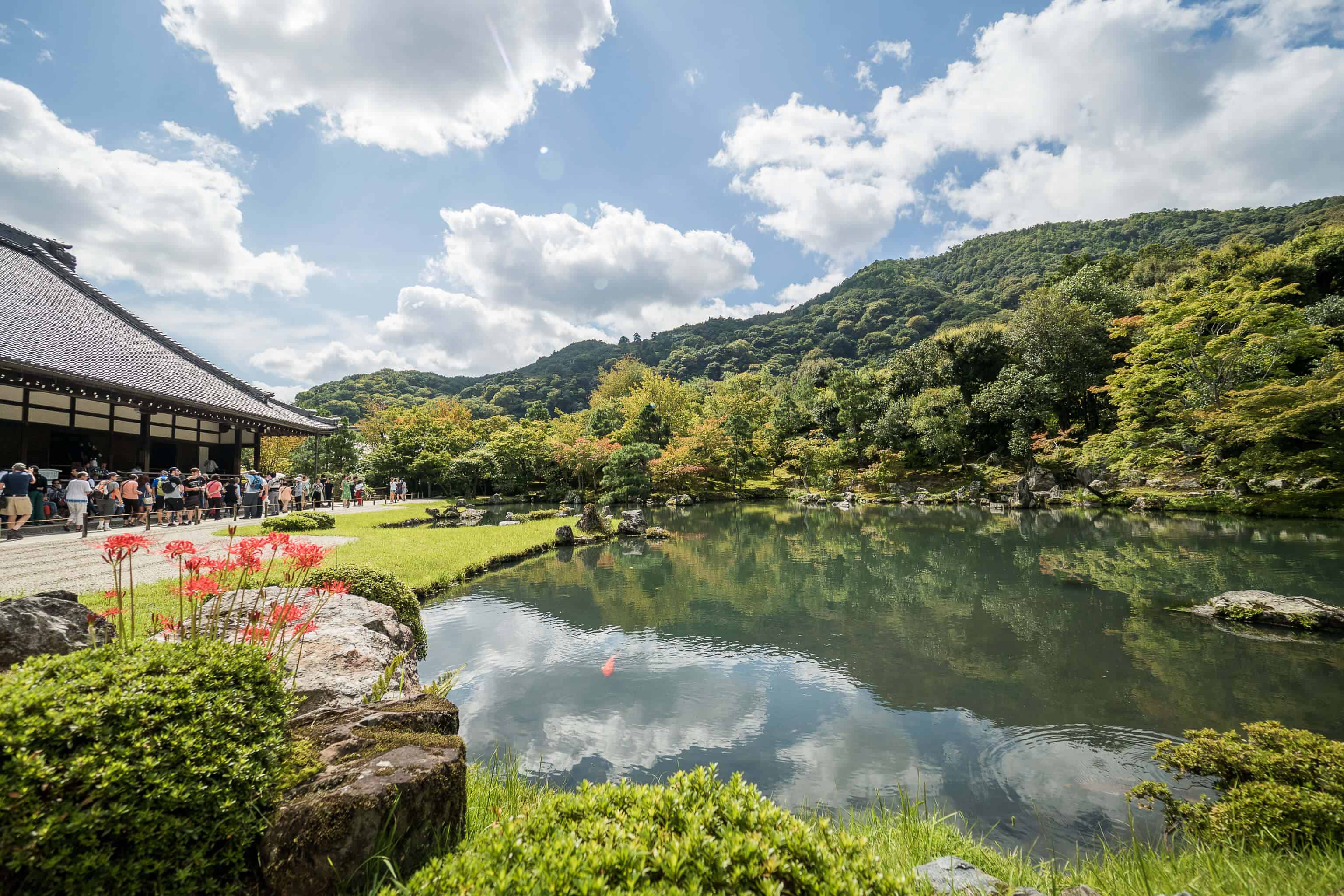 Japon, voyage, Arashiyama, Kyoto, bambou, singe, macaque, Iwatayama