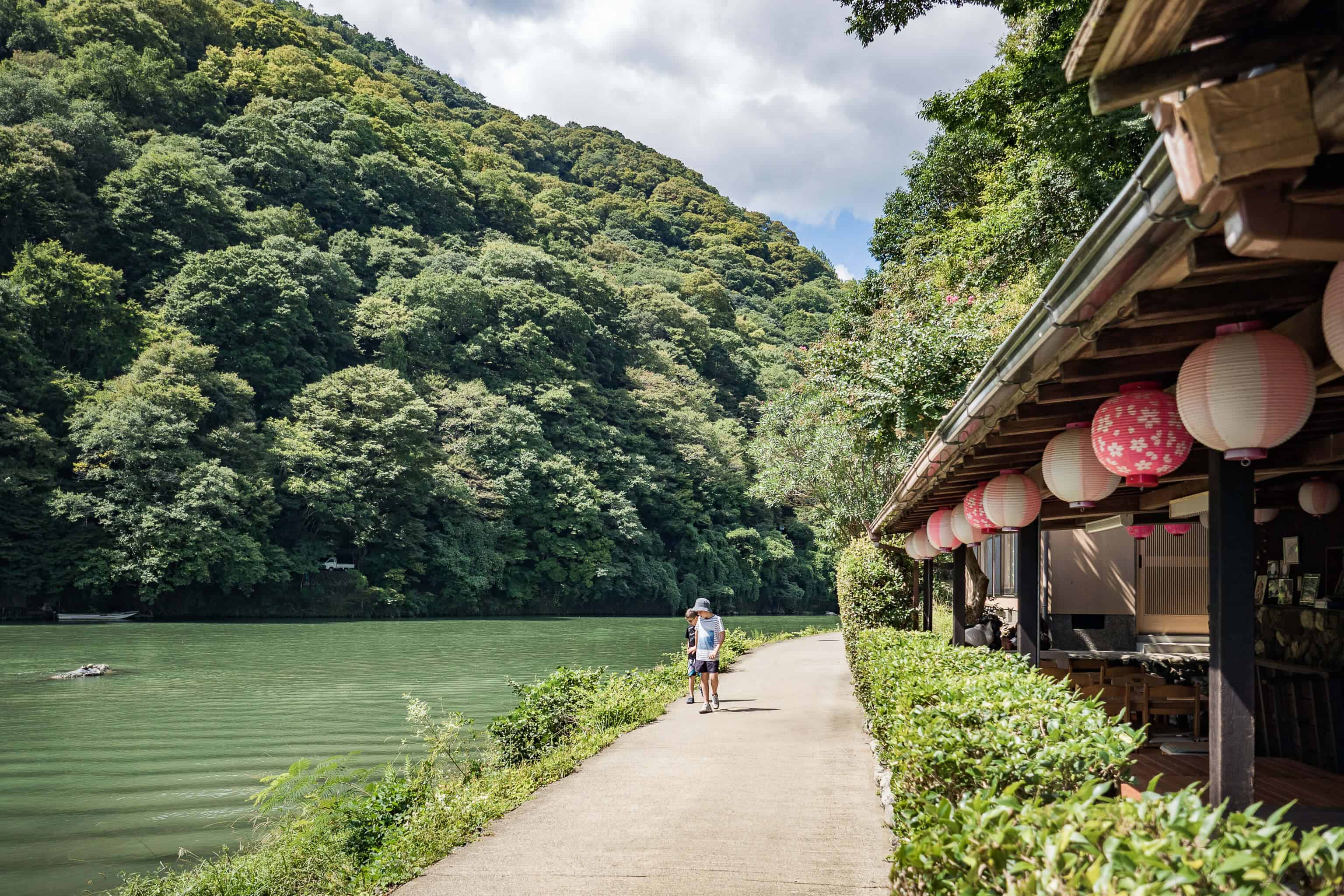 Japon, voyage, Arashiyama, Kyoto, bambou, singe, macaque, Iwatayama