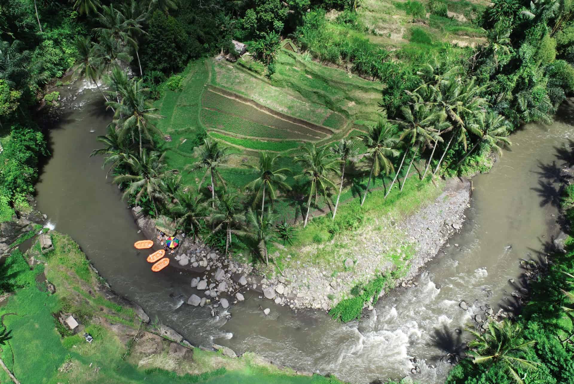 Vue aérienne de bateaux de rafting sur la rivière Ayung, entre palmiers et rizières
