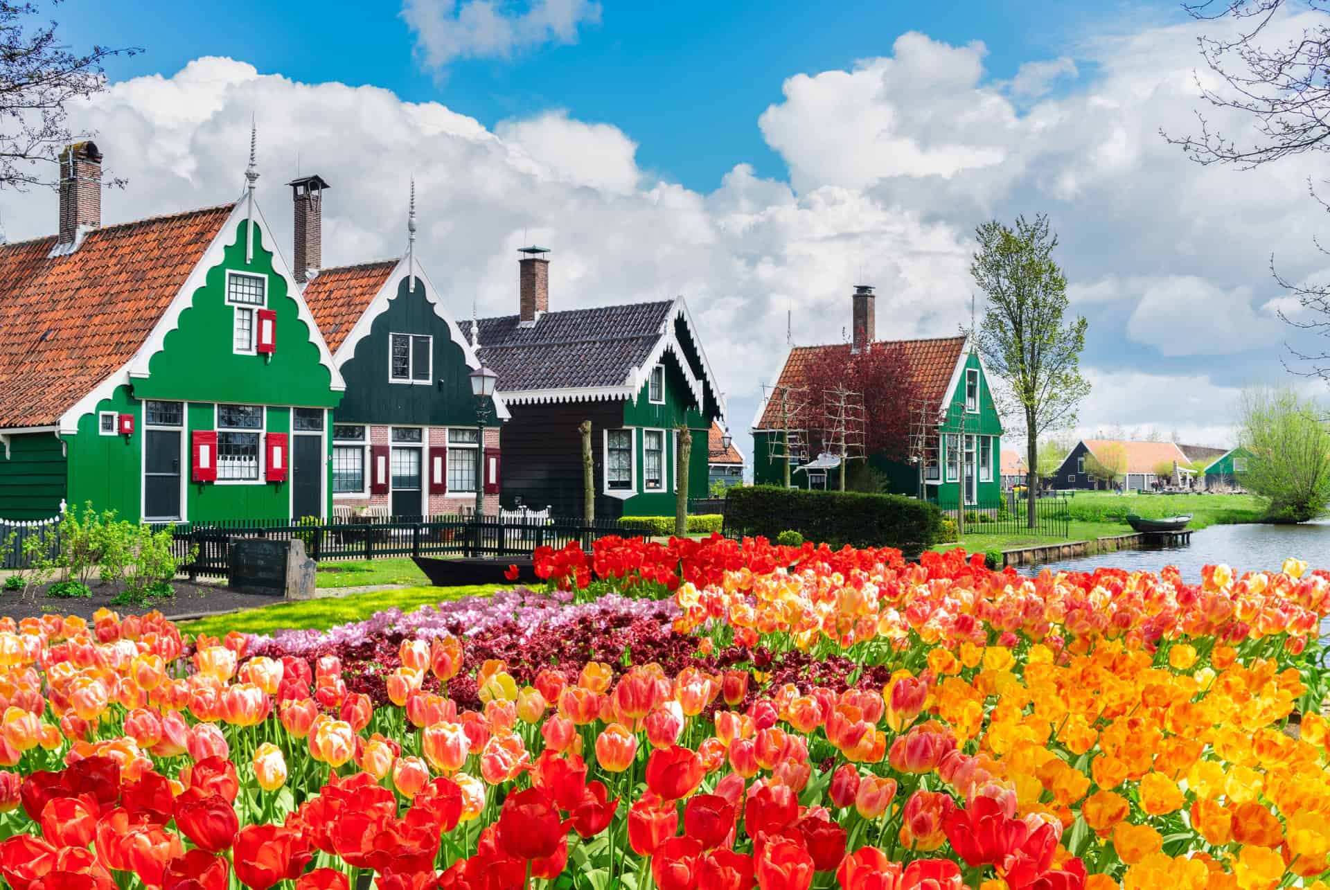 zaanse shans maisons amsterdam