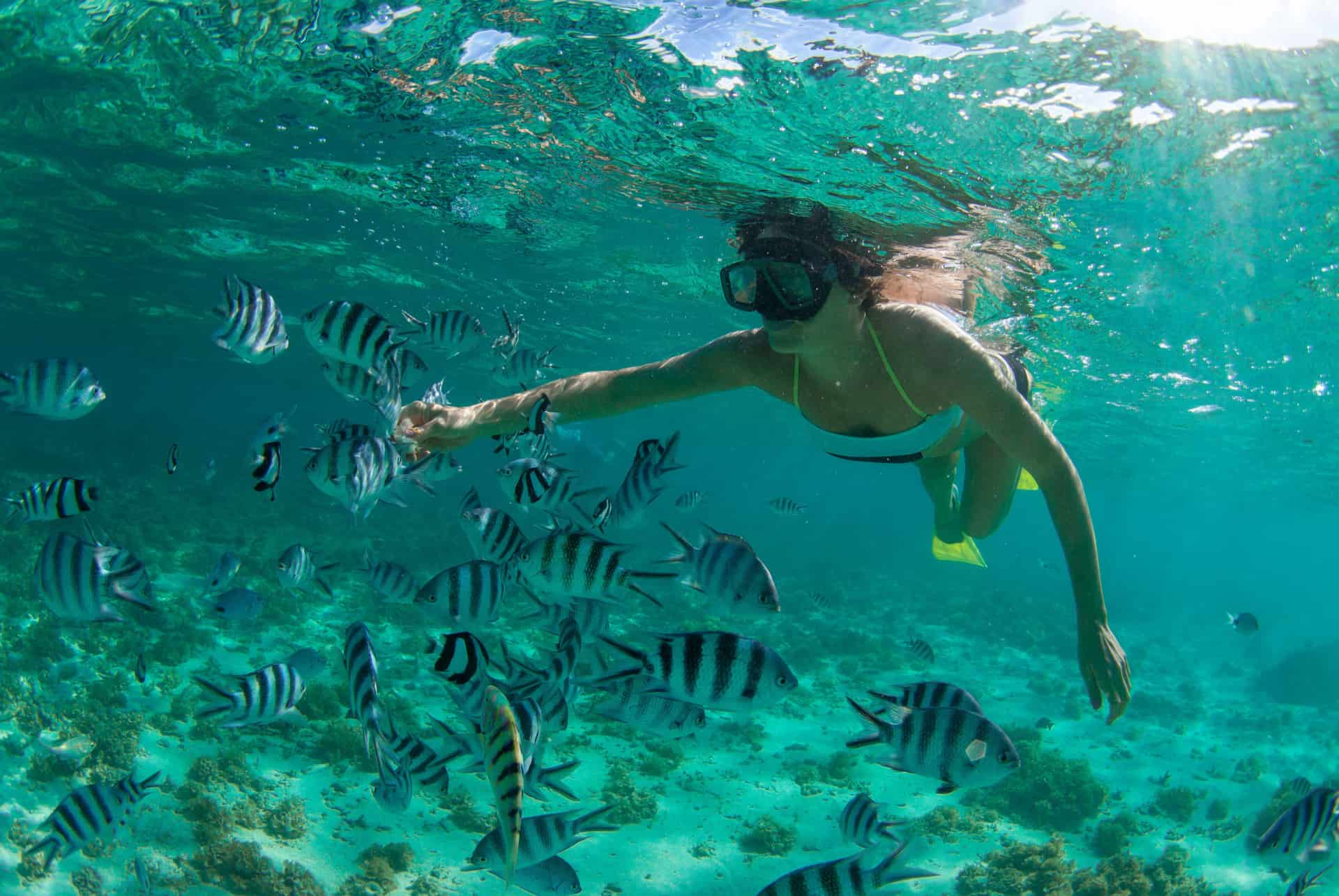 plongée sous marine maurice