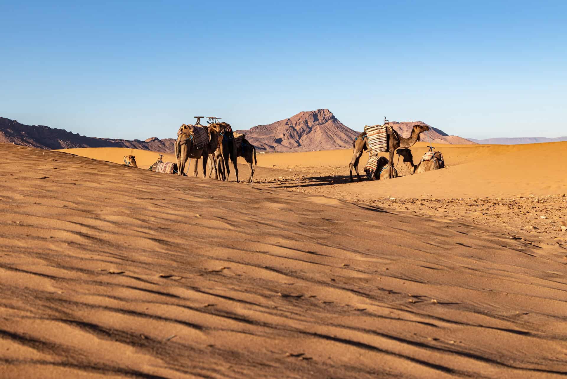 une nuit dans le desert de marrakech zagora