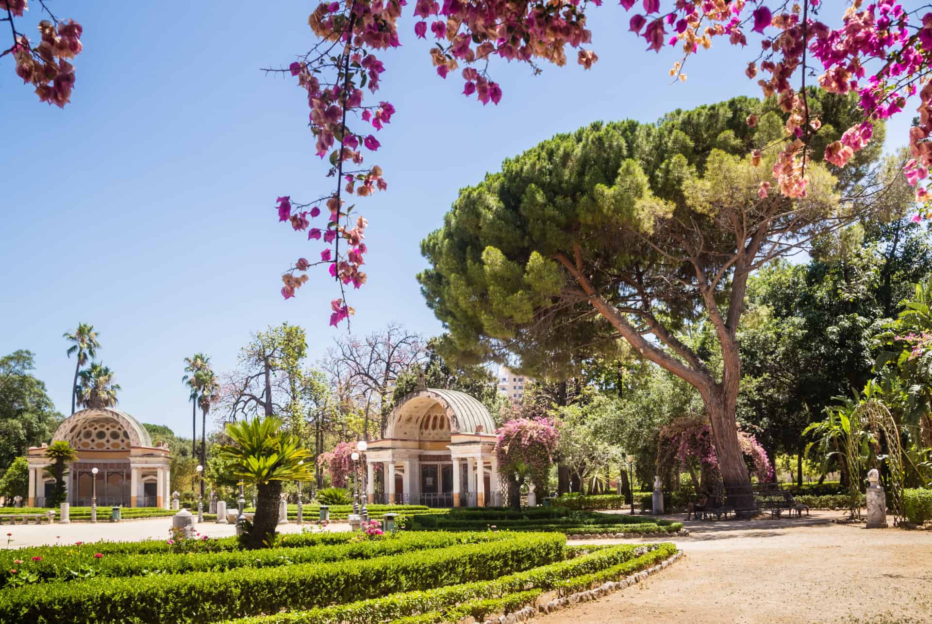 jardin botanique
