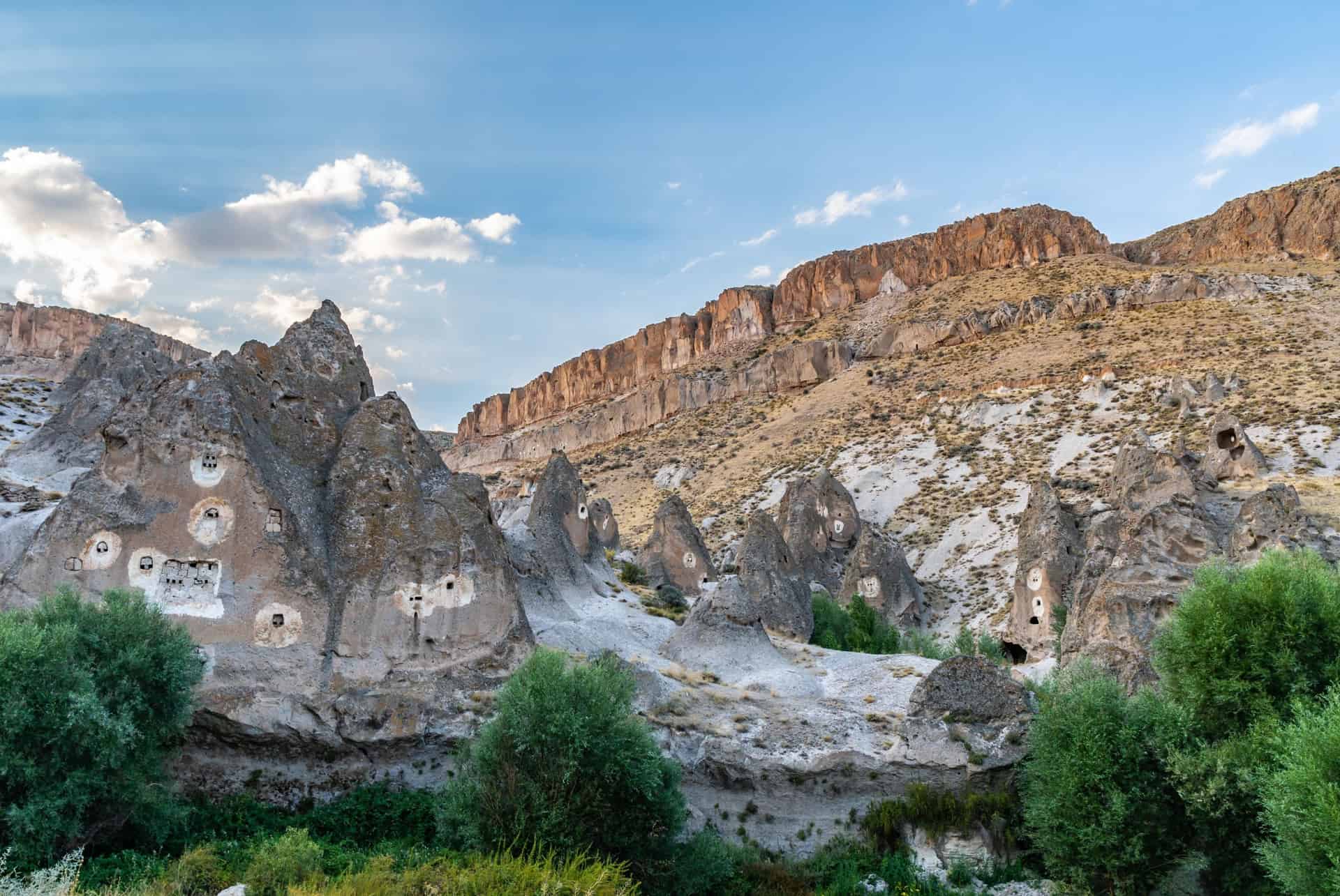 Vol en montgolfière dans la vallée de Soğanlı au lever du soleil
