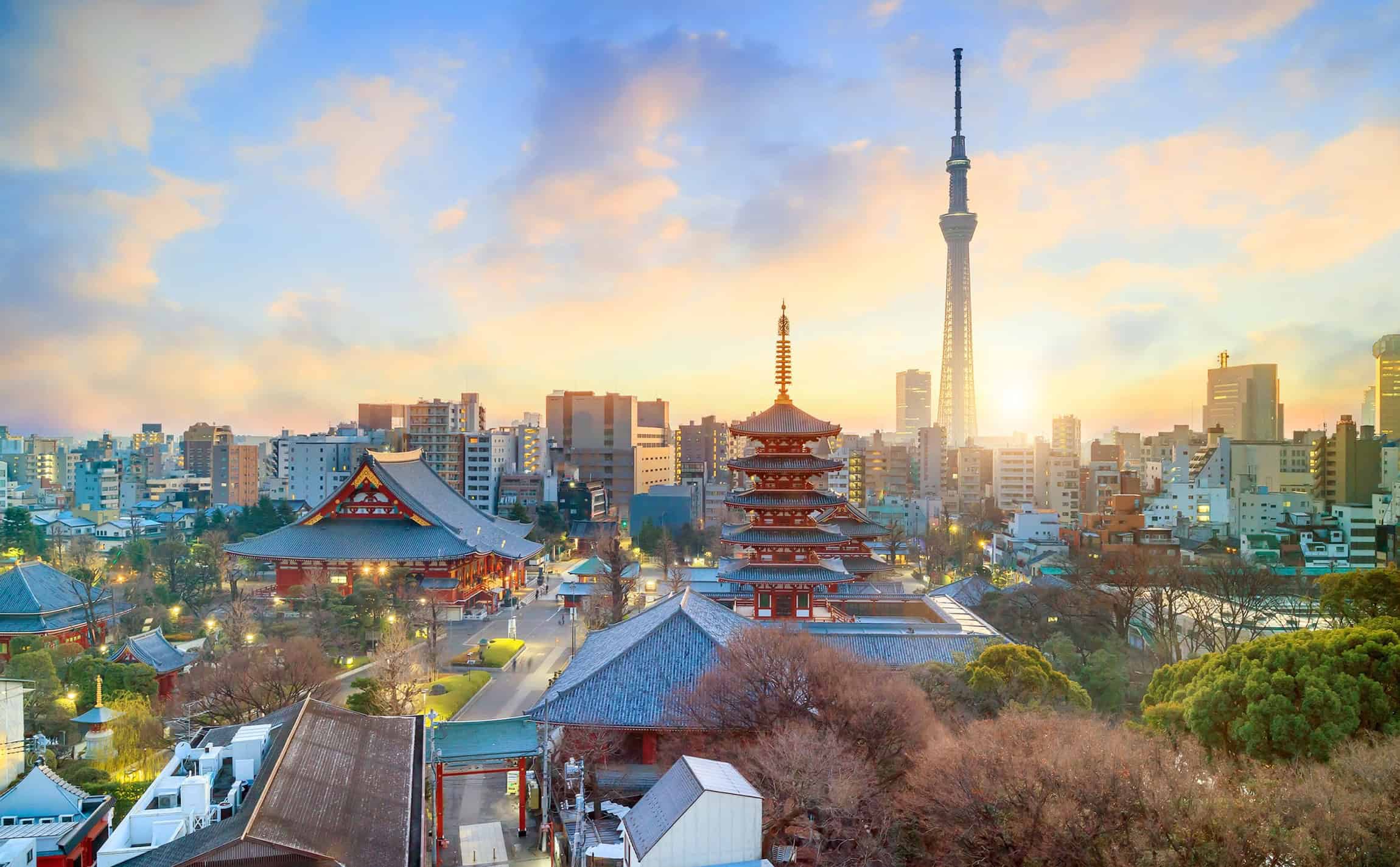 que faire à Tokyo