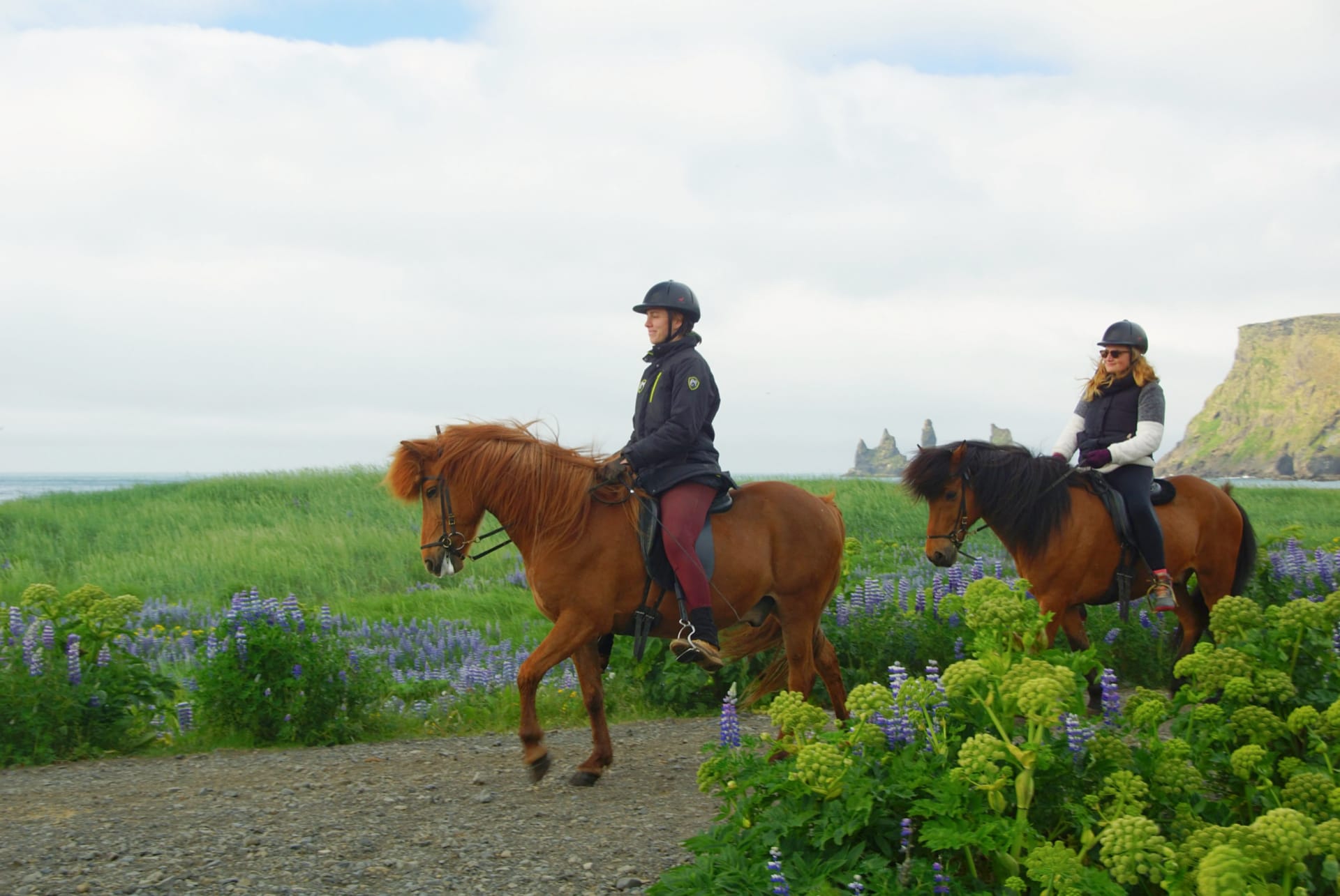 balade a cheval islande en ete