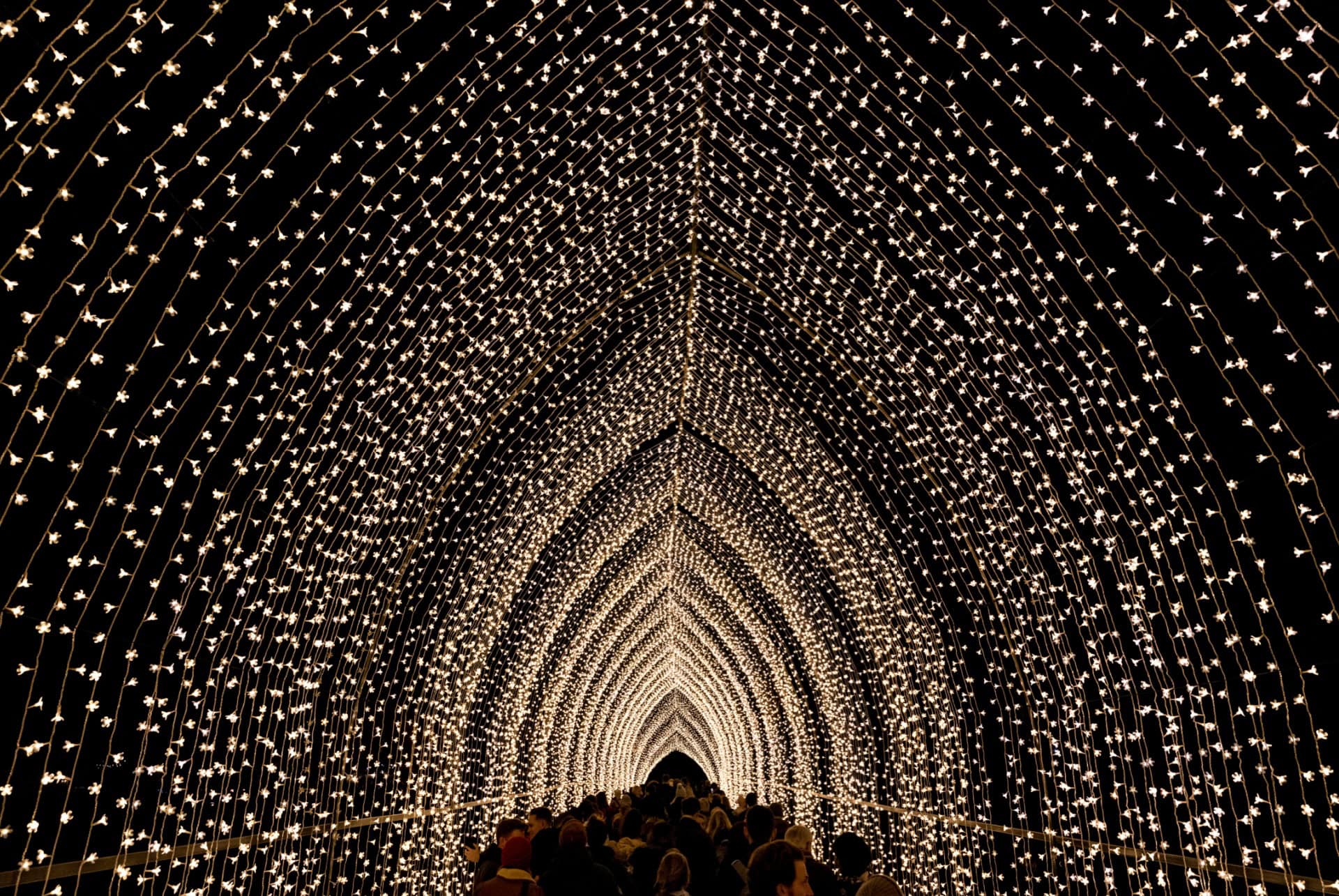 christmas at kew londres decembre
