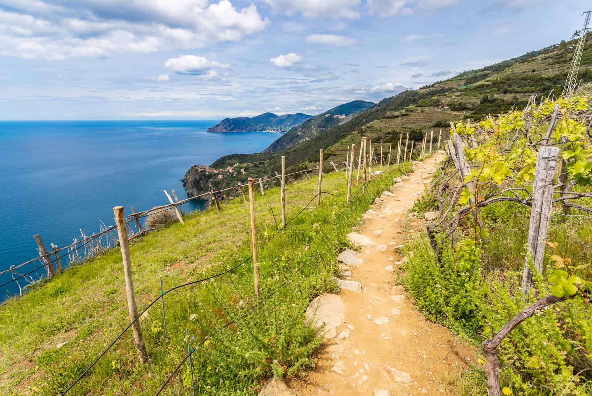 sentiero azzurro visiter les cinque terre
