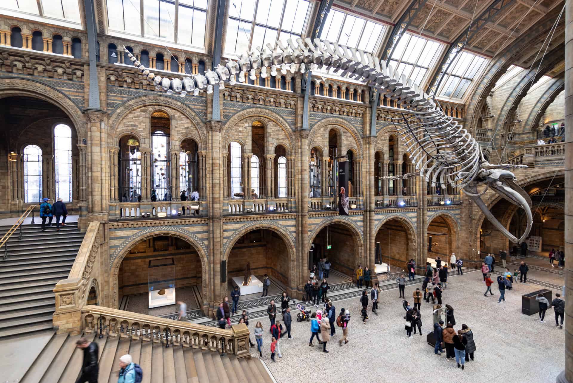 londres en 4 jours musee histoire naturelle