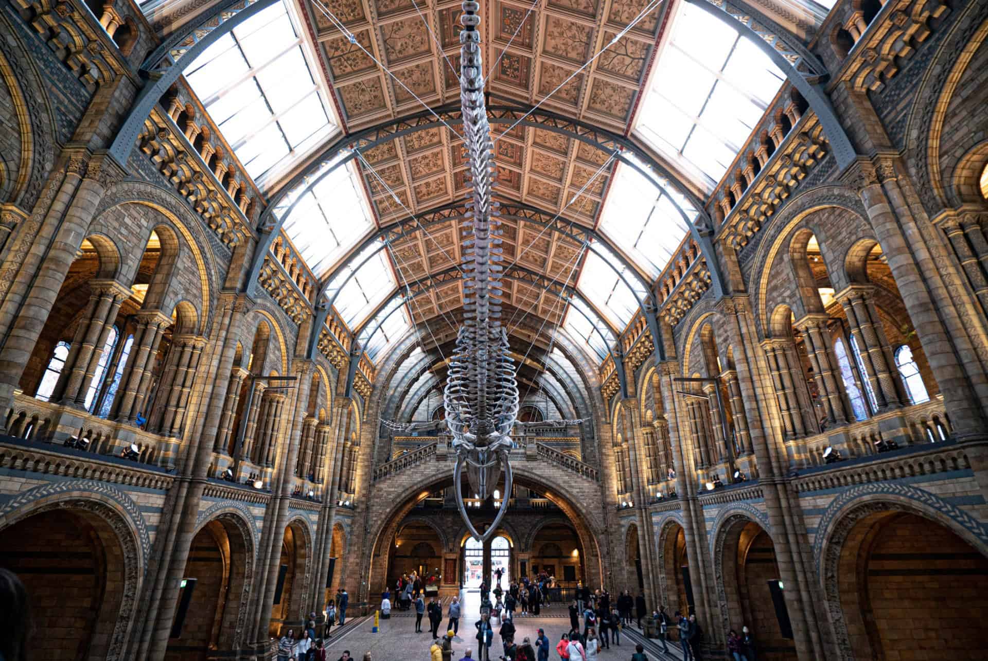 musee histoire naturelle