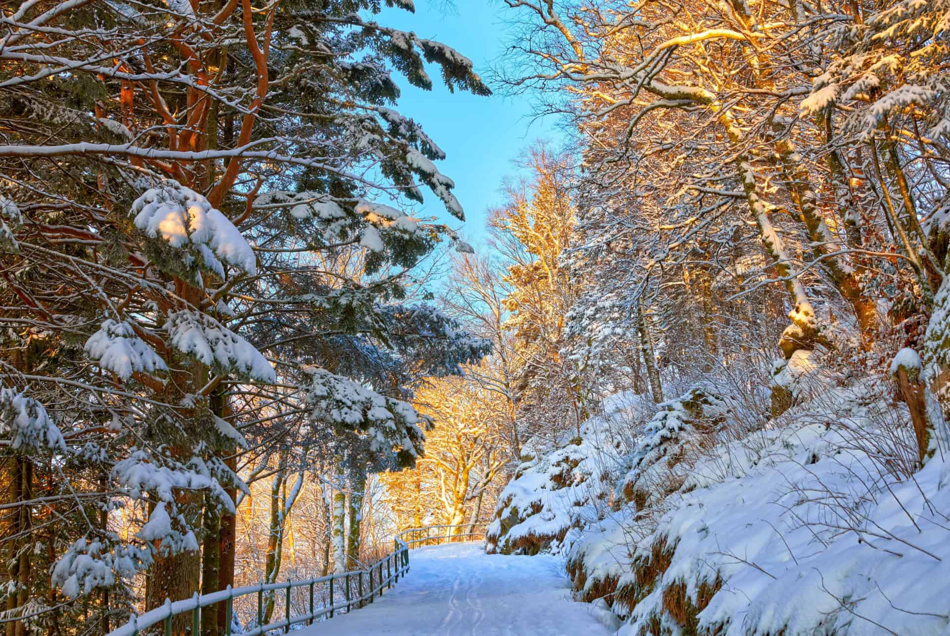 mont floyen chemin