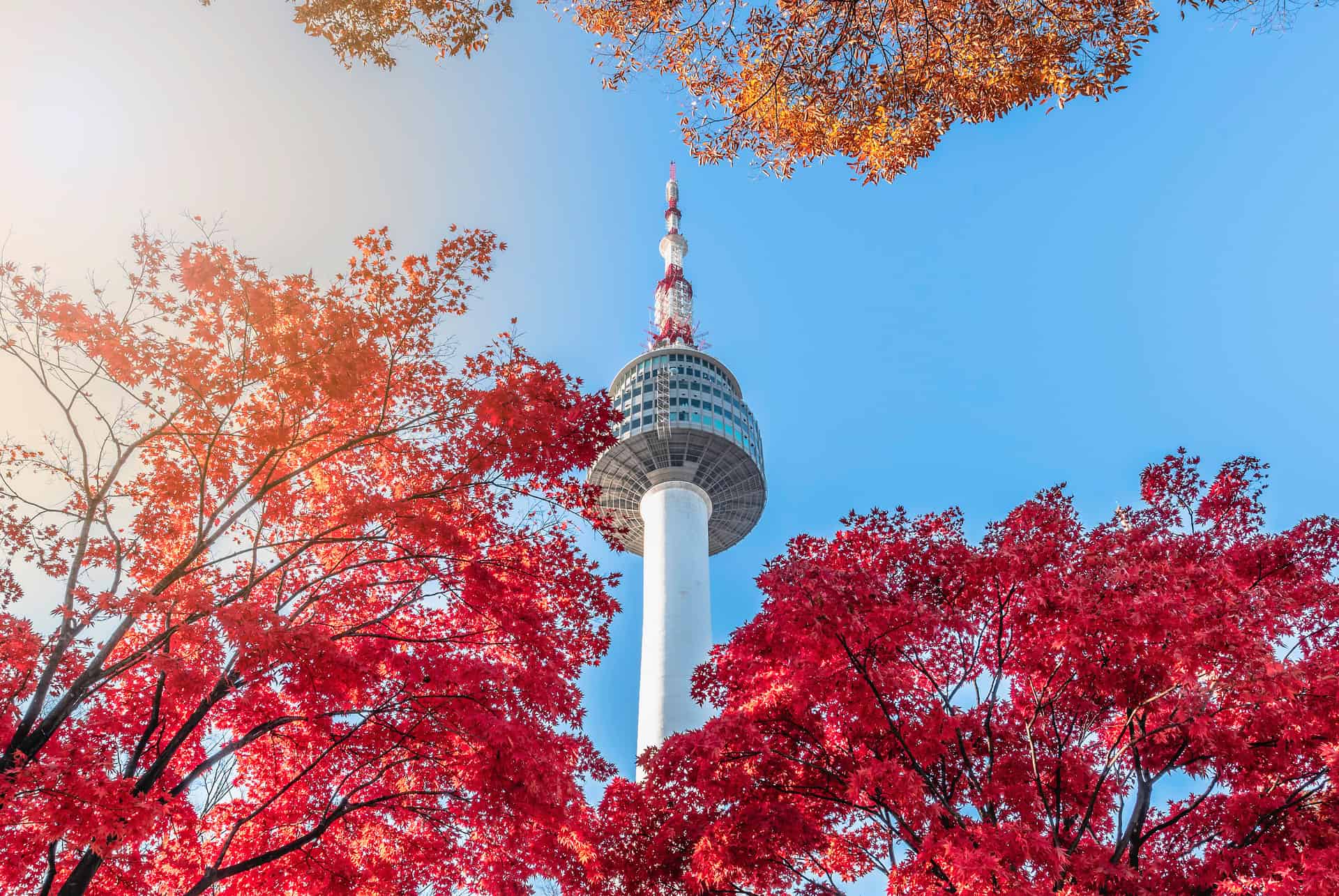 Entrée à la N Seoul Tower