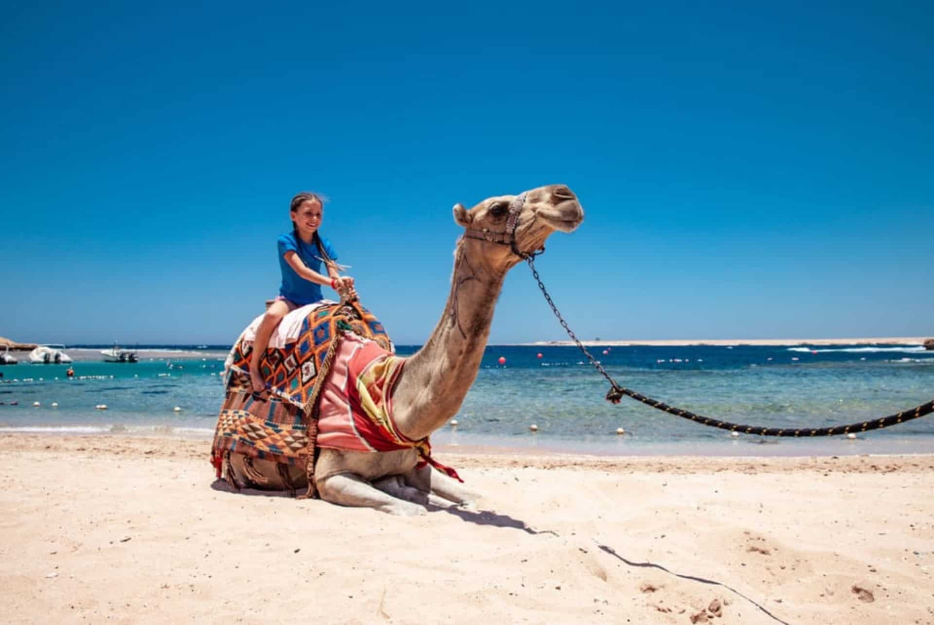 Balade à dos de chameau au Sahara