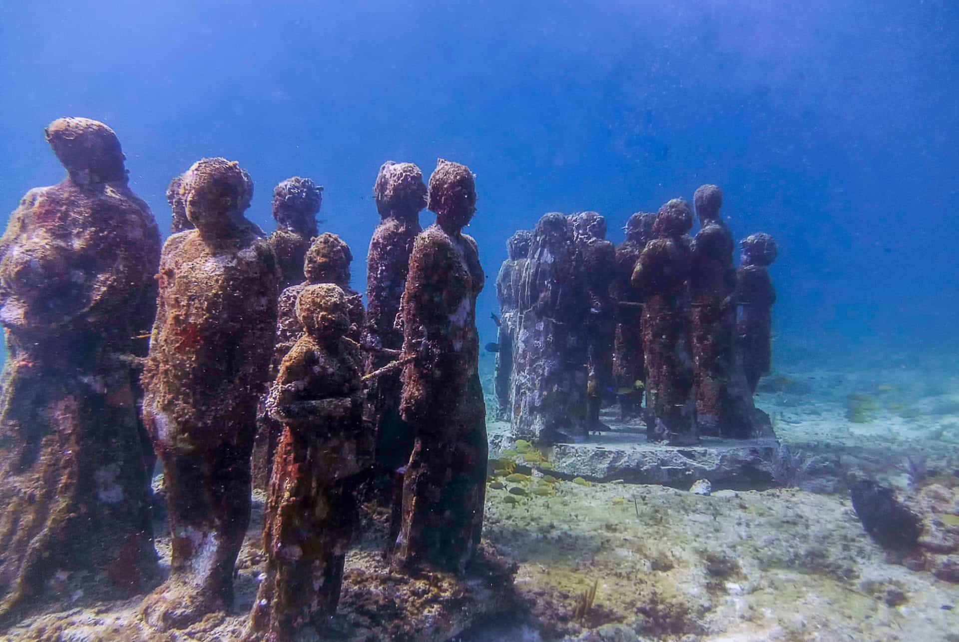 Plongée sous-marine au MUSA
