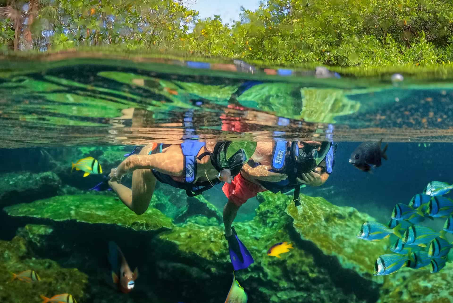 xel-ha park