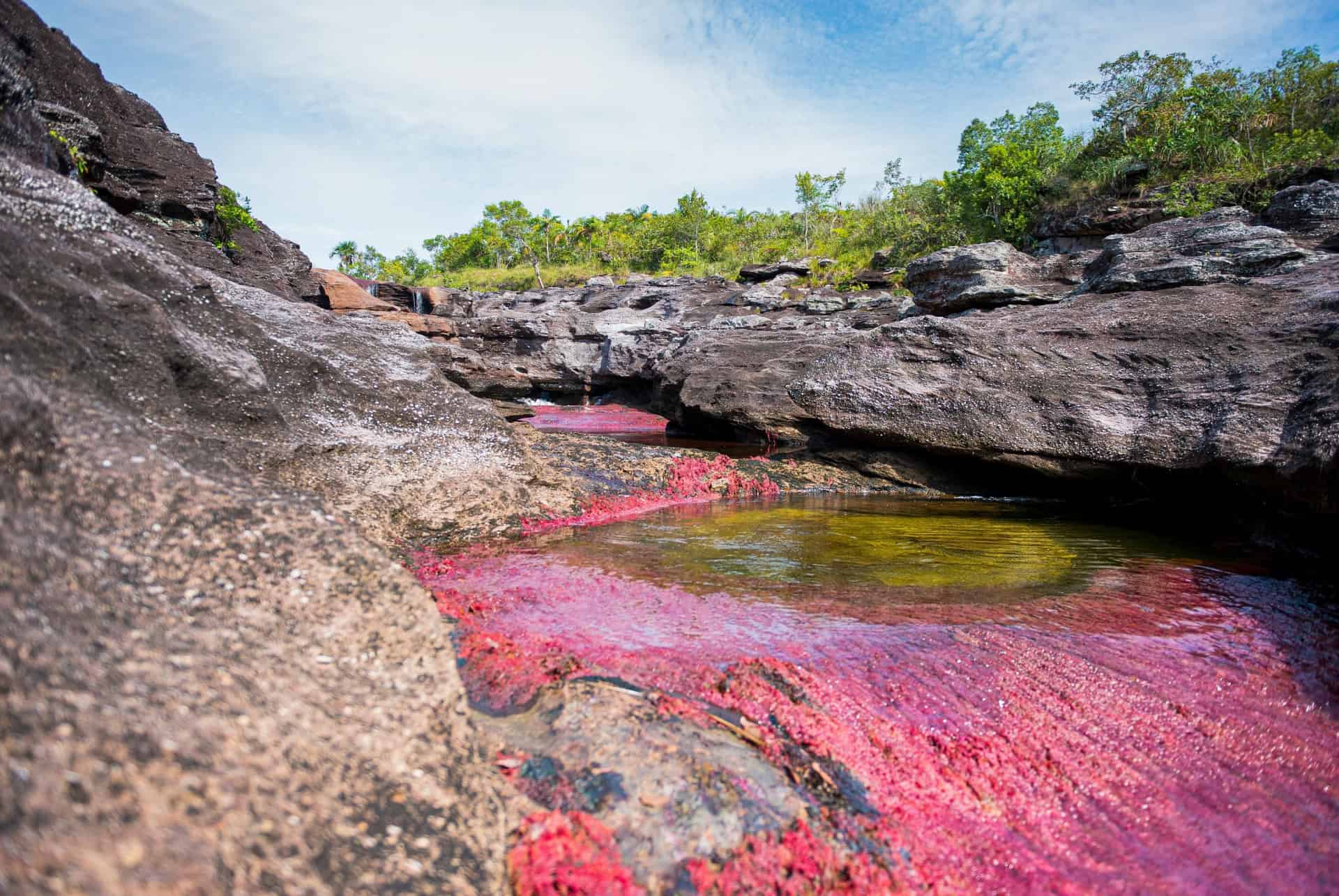 cano cristales colombie