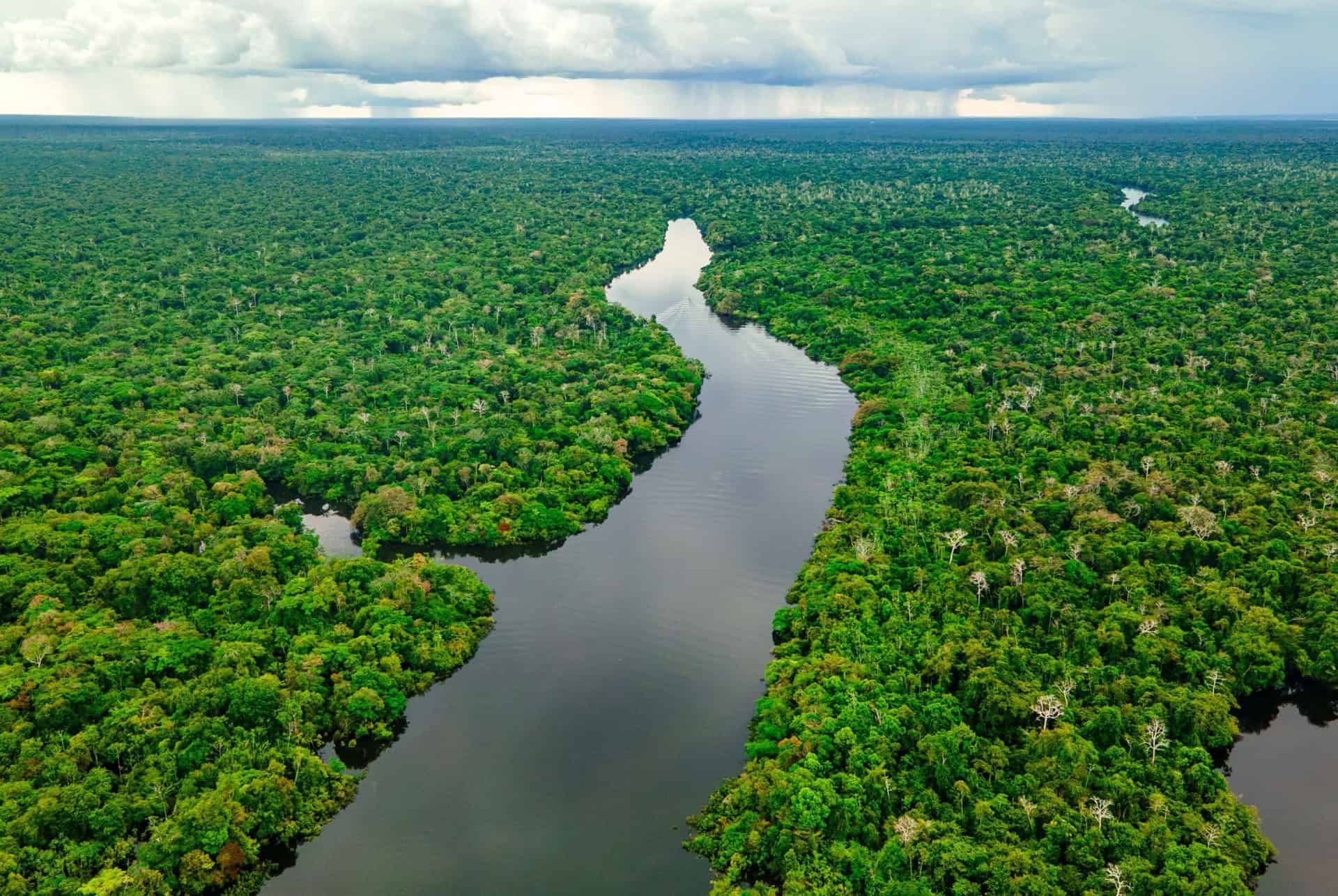 foret amazonienne colombie