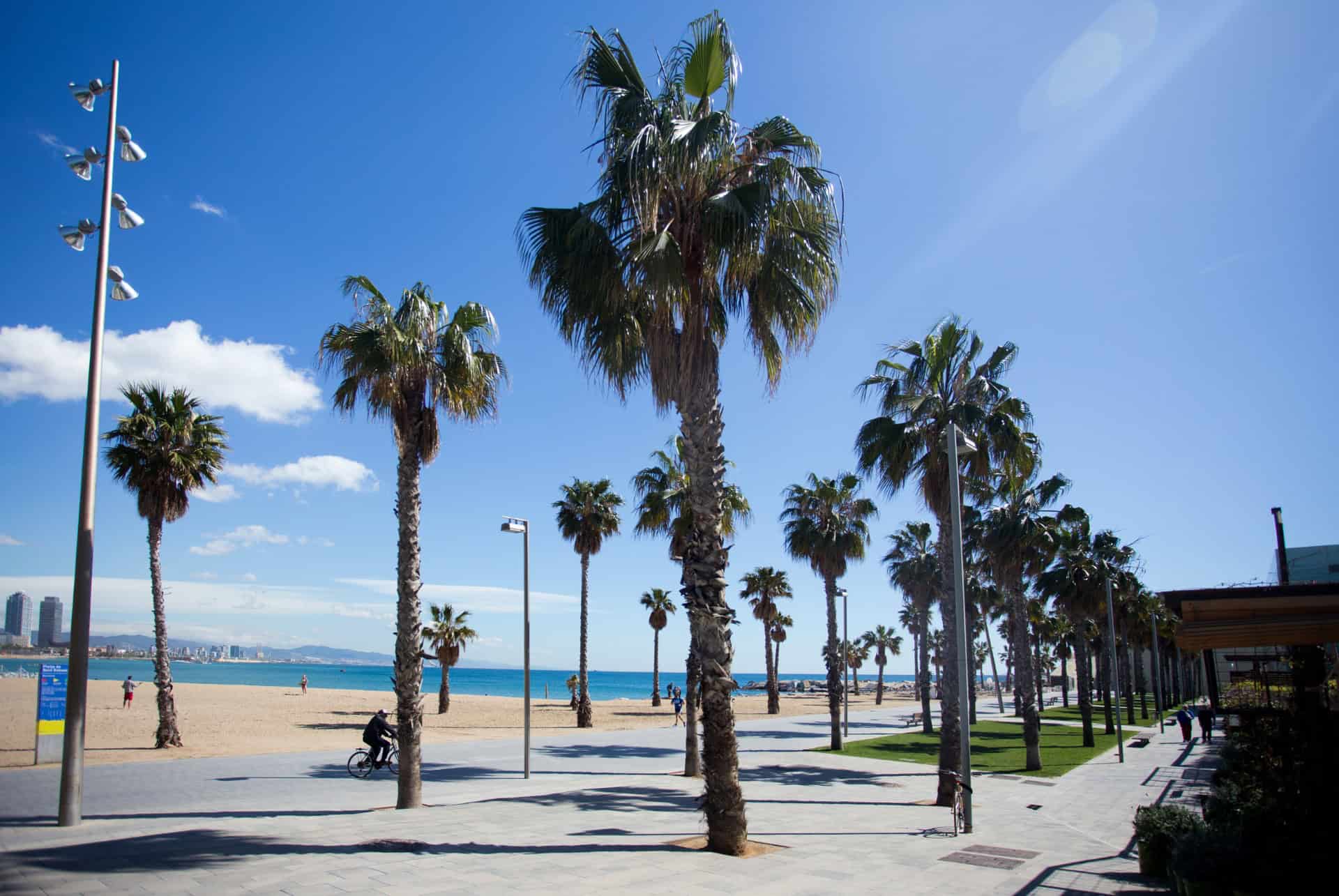 barceloneta