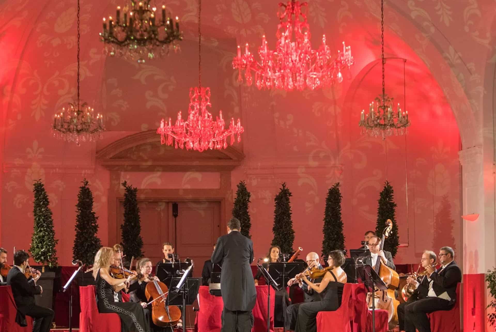 Visite guidée du château et concert classique