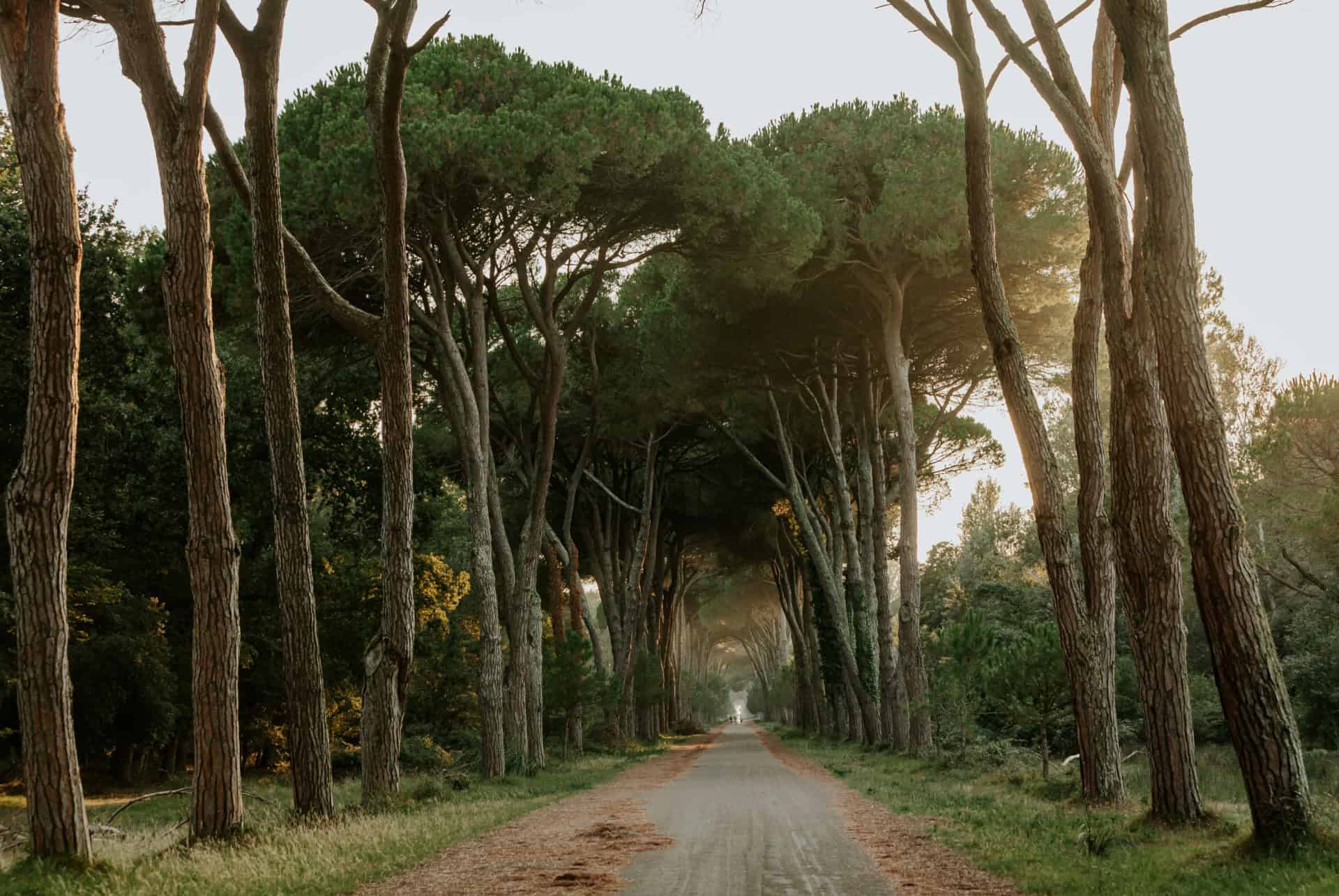 migliarino san rossore massaciuccoli