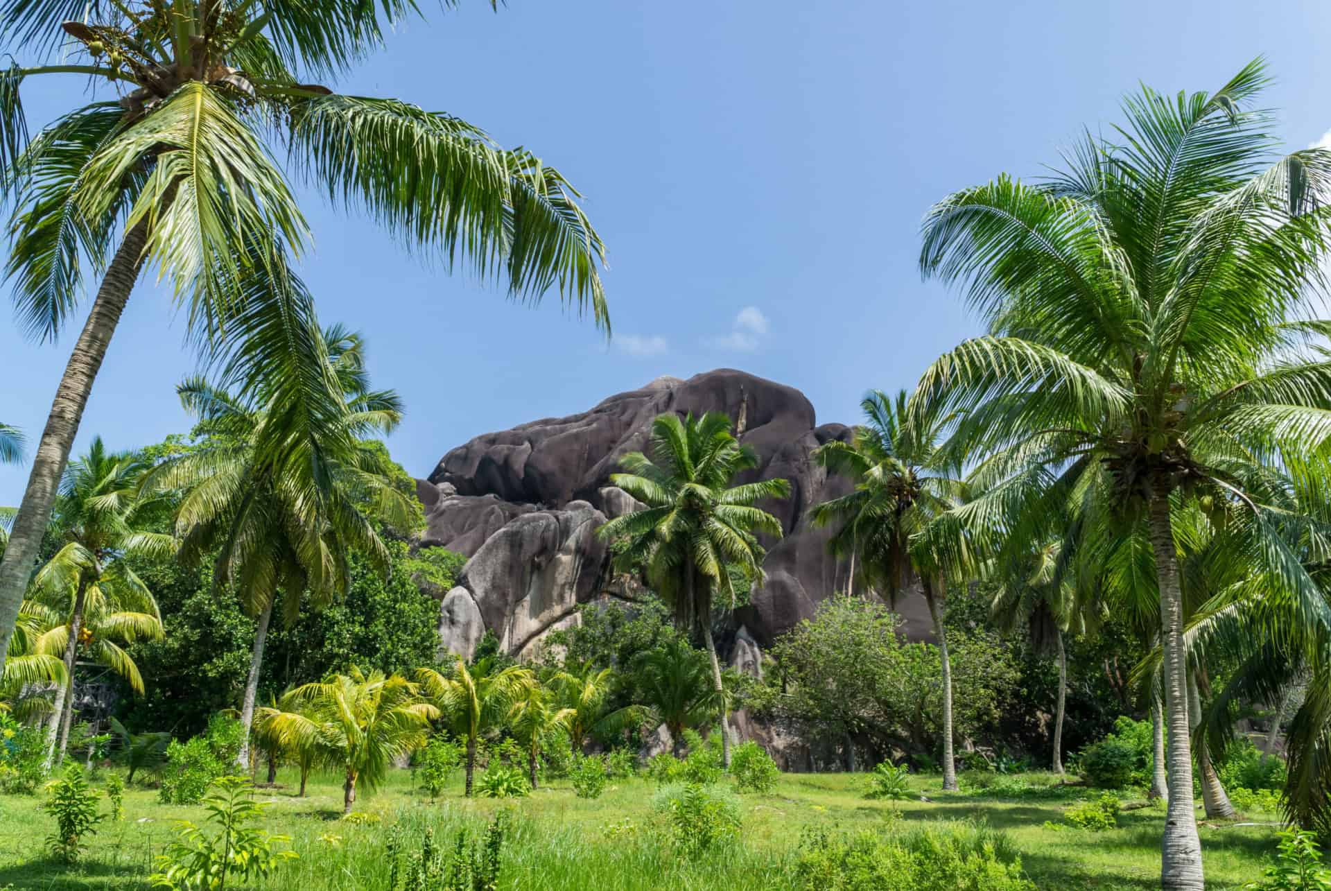 que faire aux seychelles cocoteraie