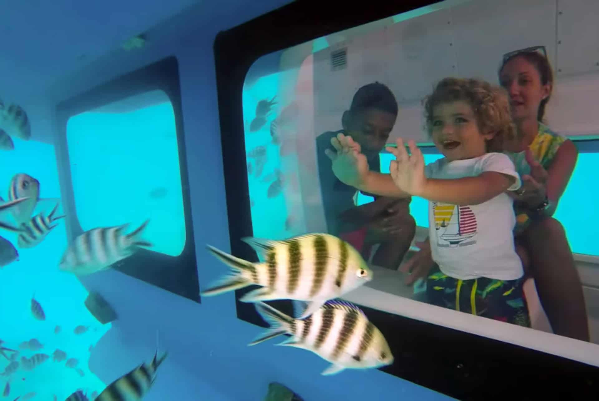Visite semi-sous-marine dans le parc marin de Sainte-Anne