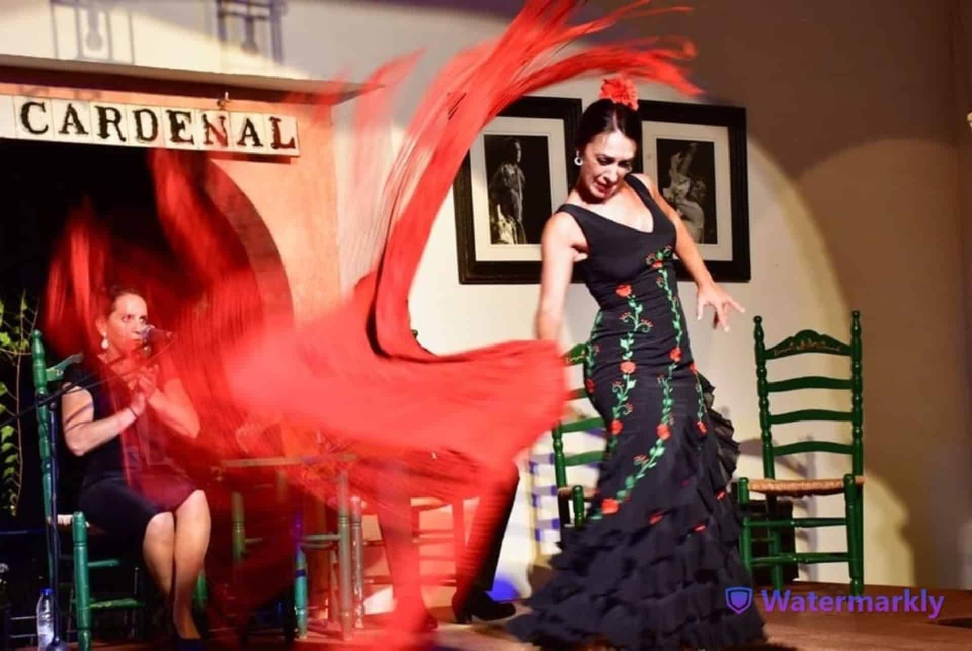 Spectacle de flamenco avec boissons