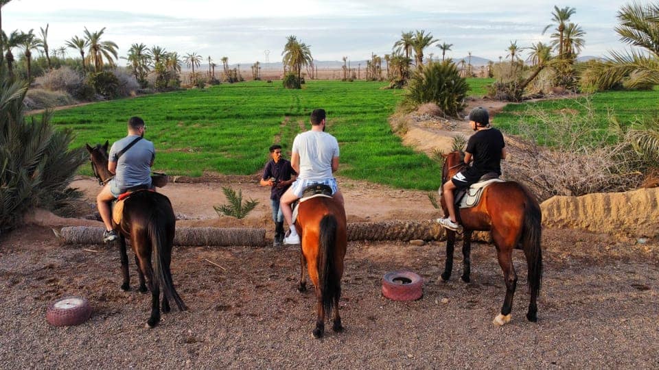 Visite privée à cheval dans la Palmeraie