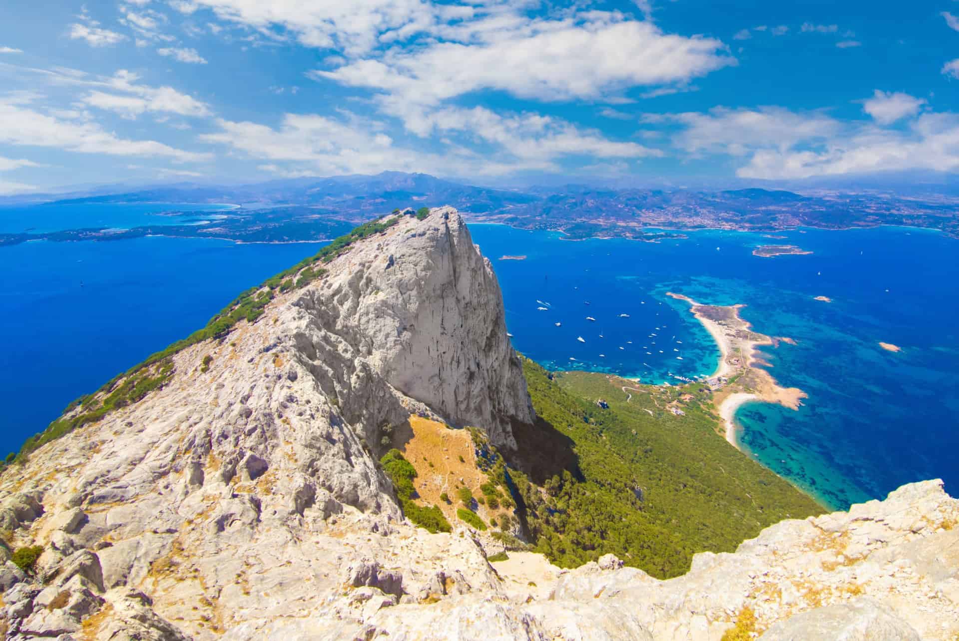 olbia tavolara