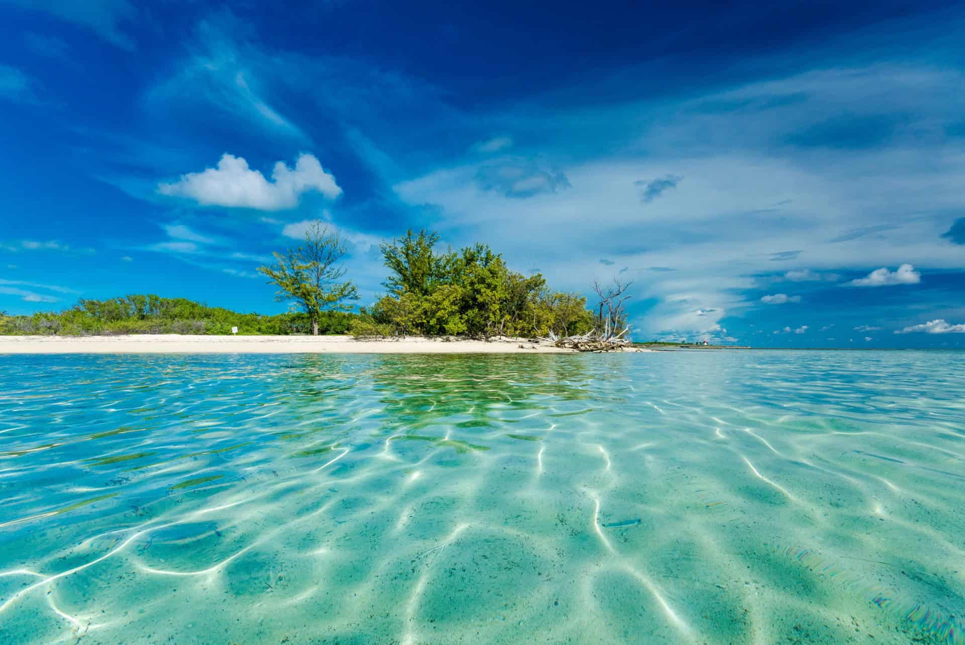 Excursion tout inclus de Miami à Bimini
