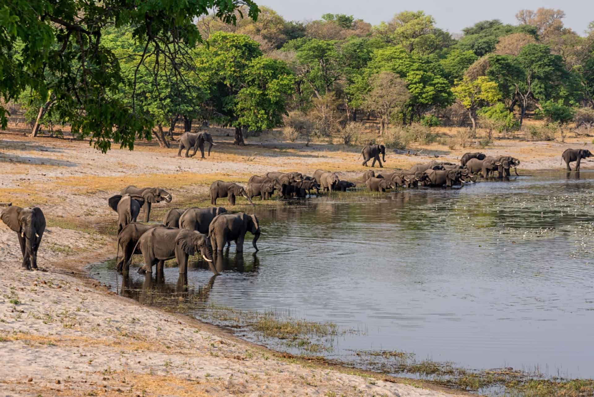 bande de caprivi