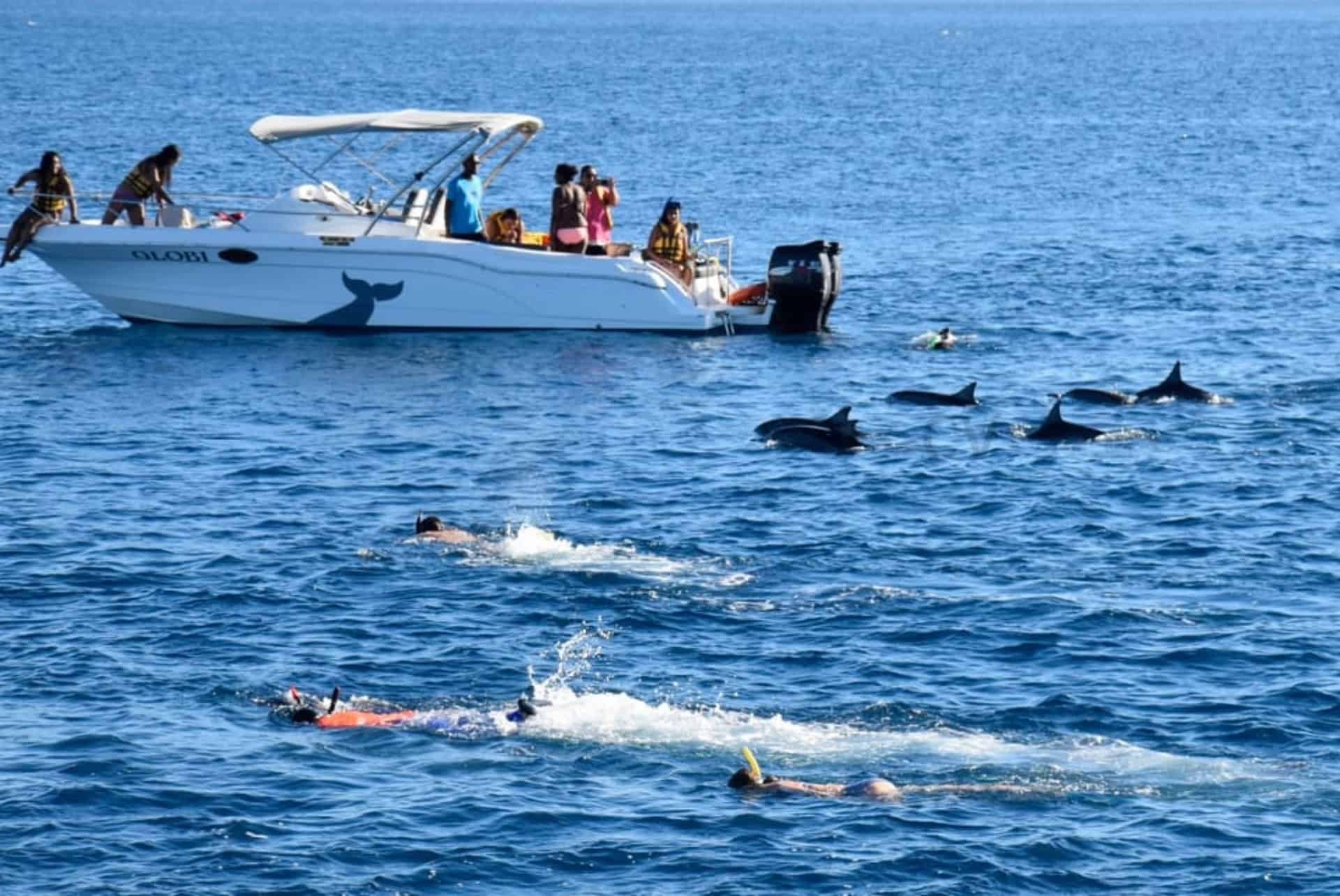 Excursions en bateau rapide