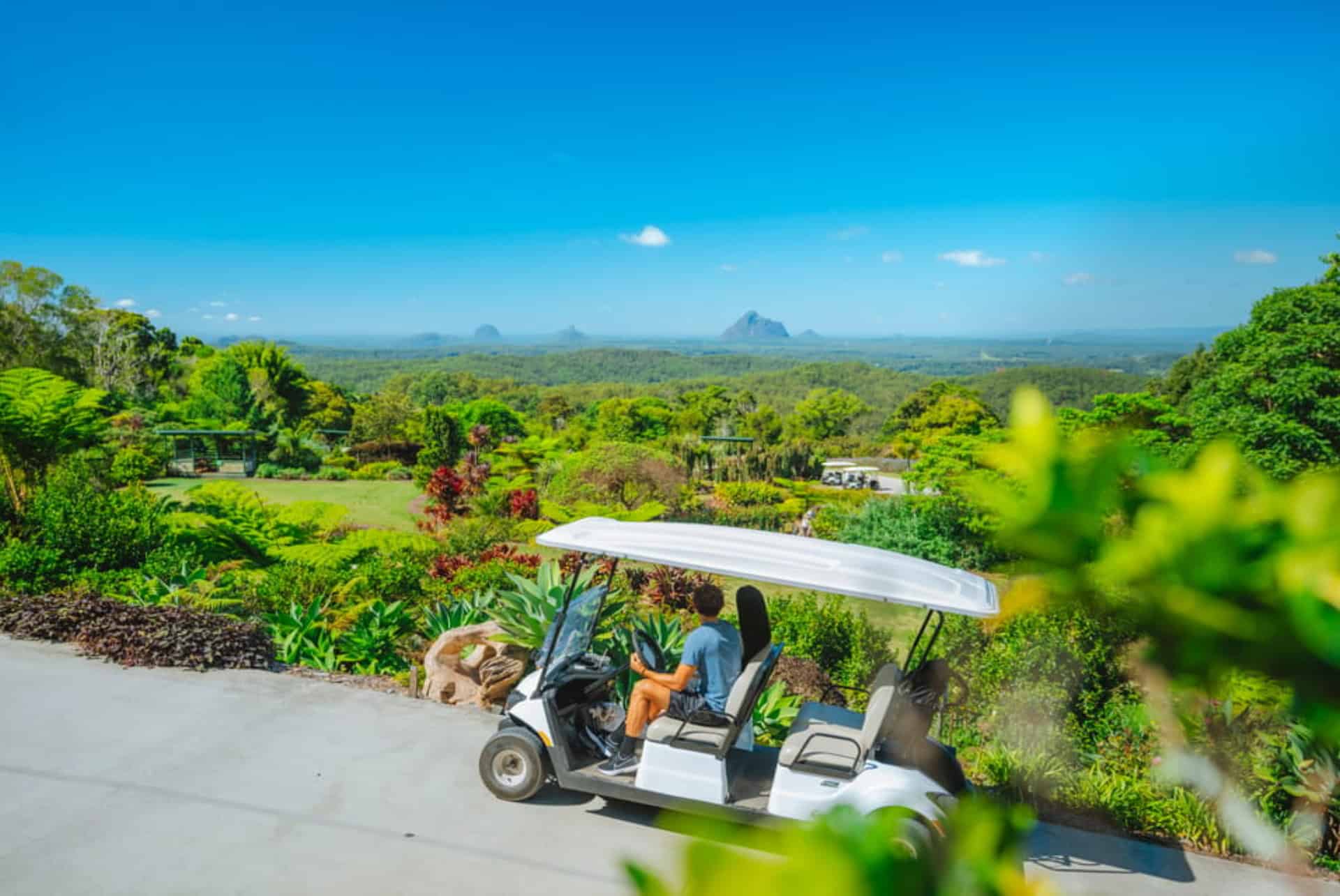 maleny garden