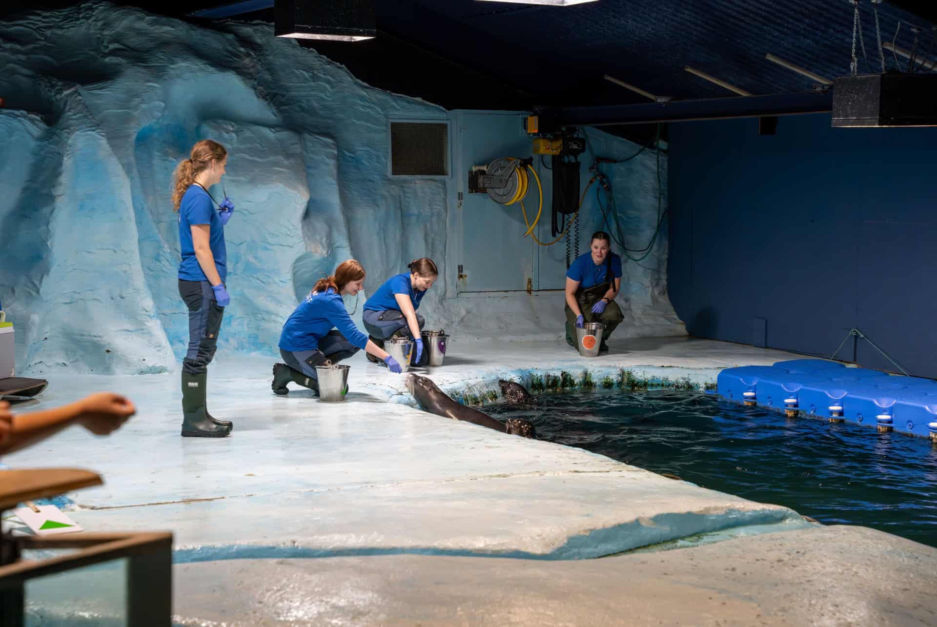 musee-aquarium polaria