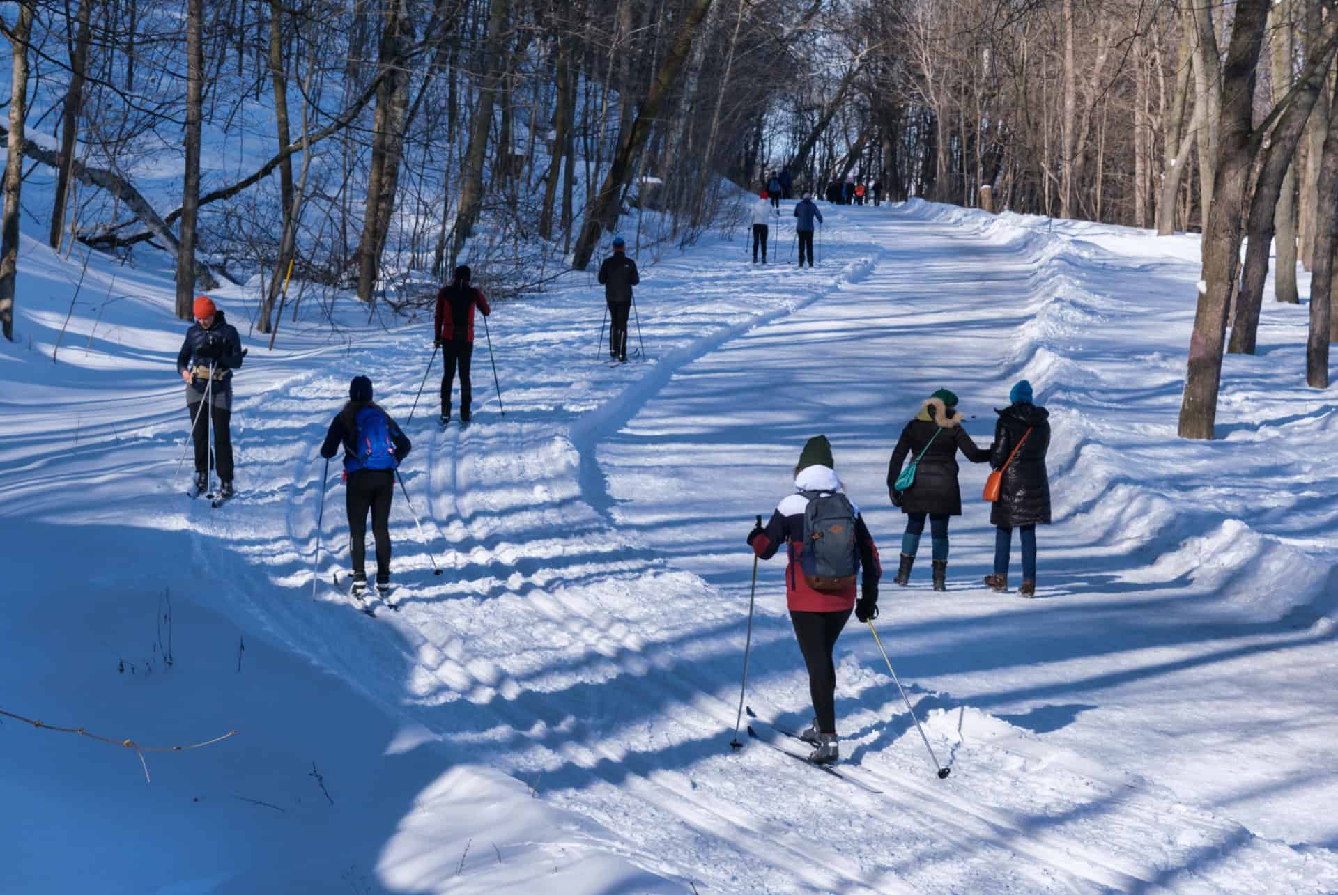 parc mont royal hiver
