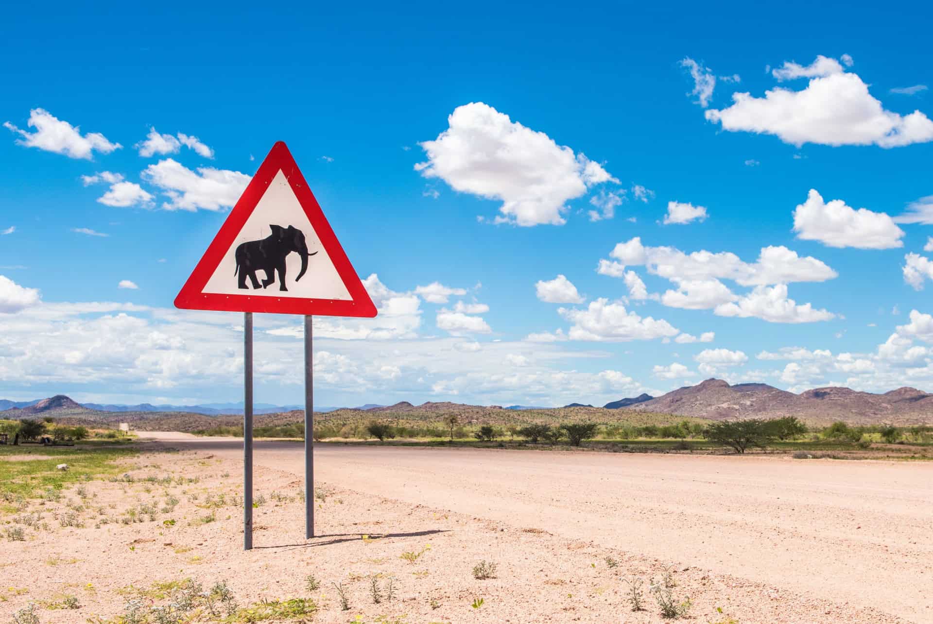 securite safari