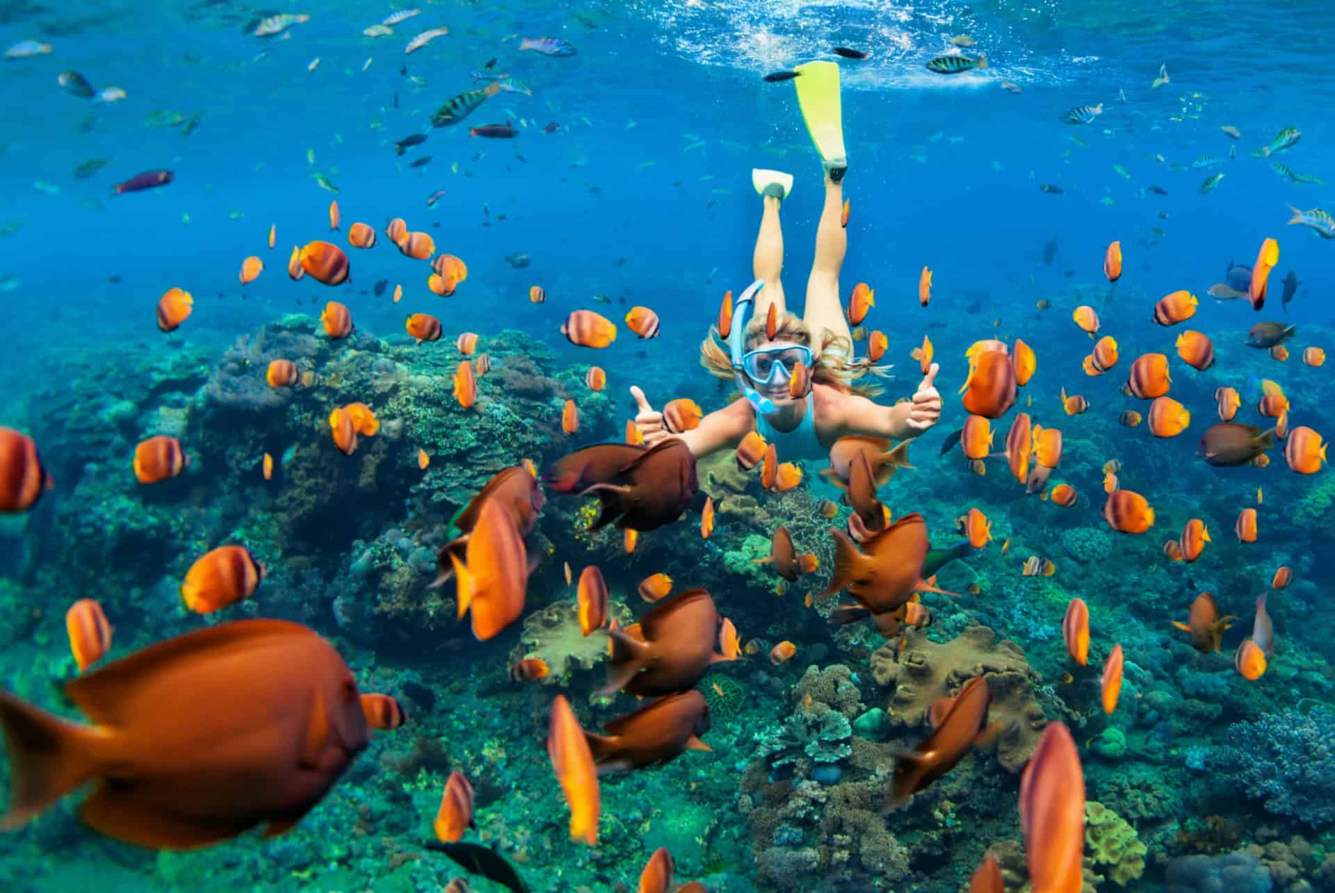 faire de la plongee a bali poissons