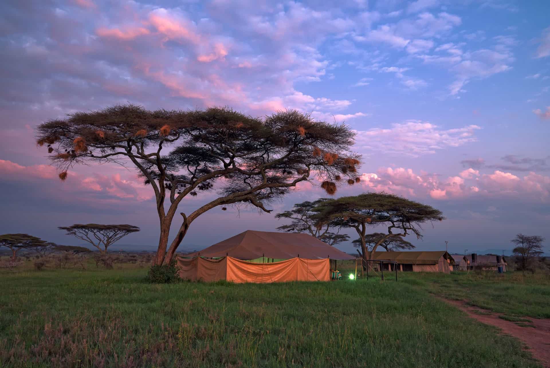 hebergement safari au kenya