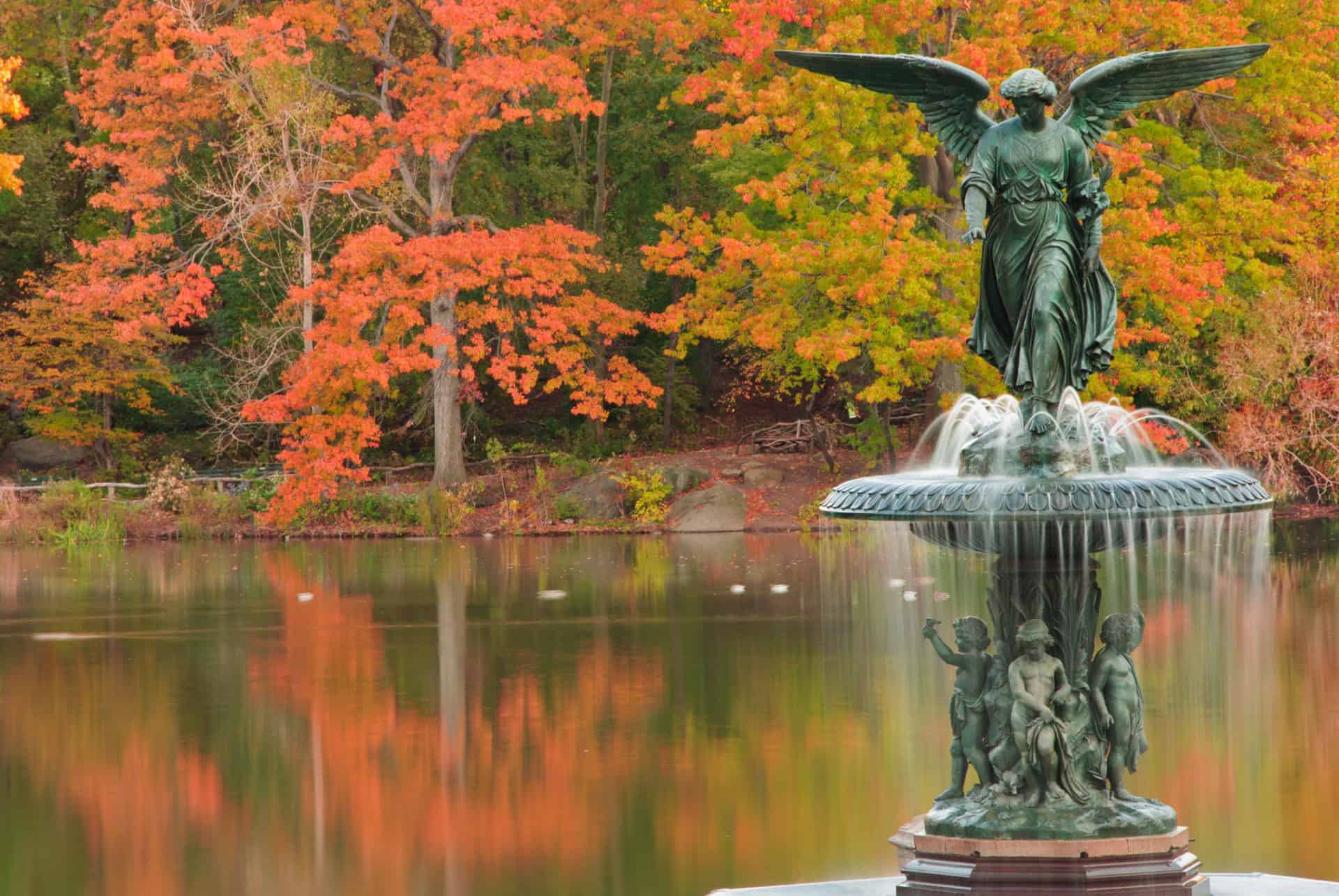 central park en automne