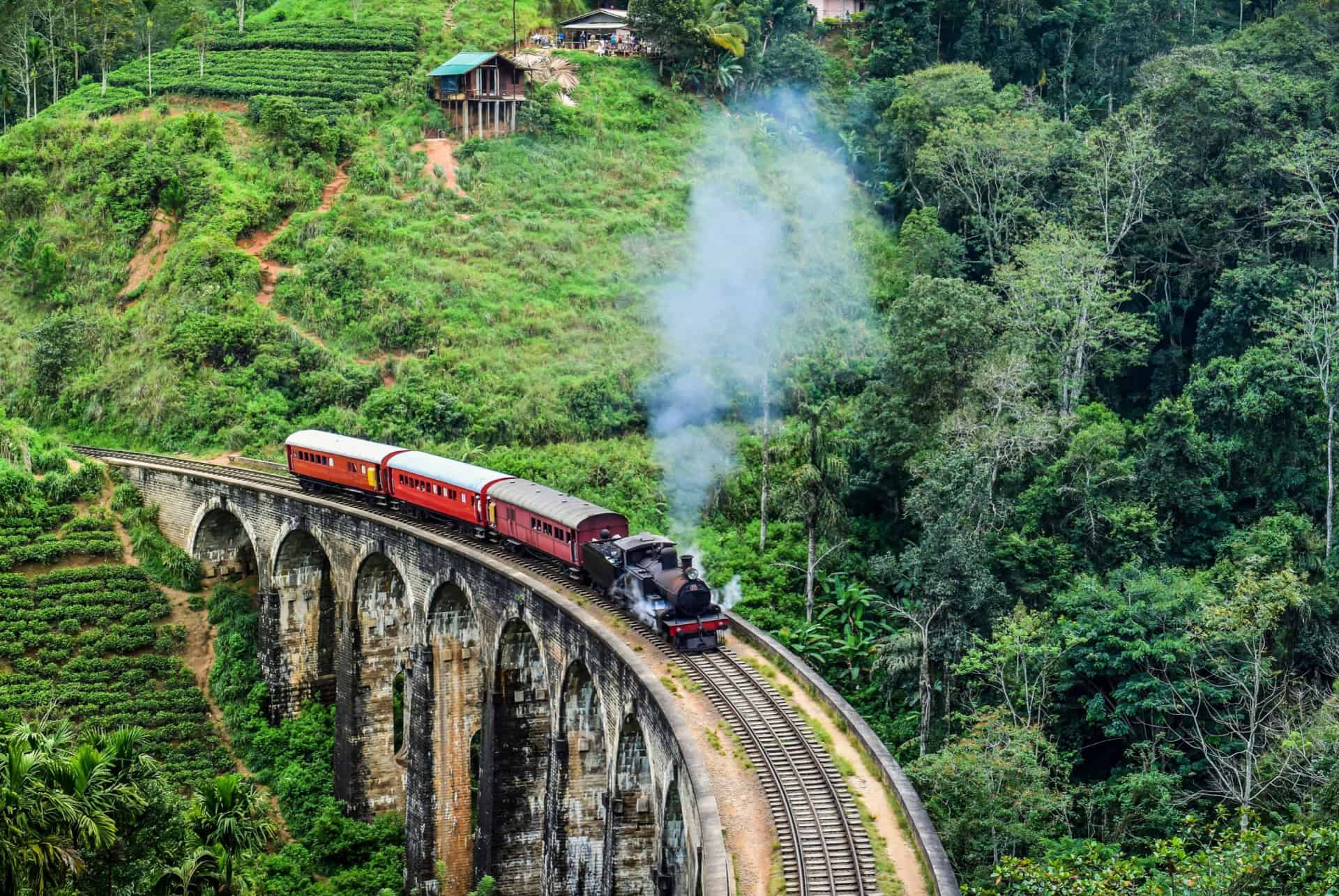 loc train ella