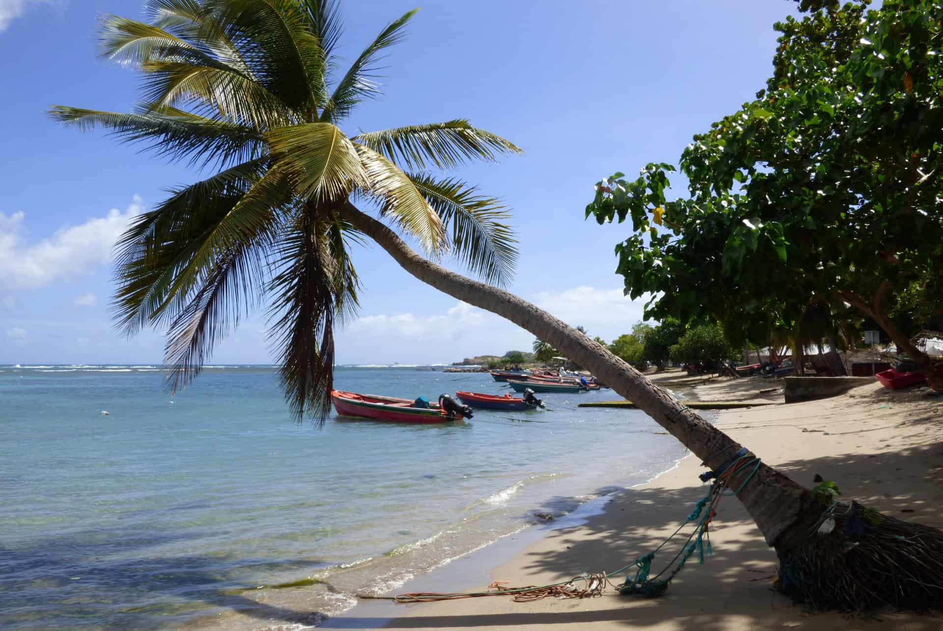 plage de la trinite