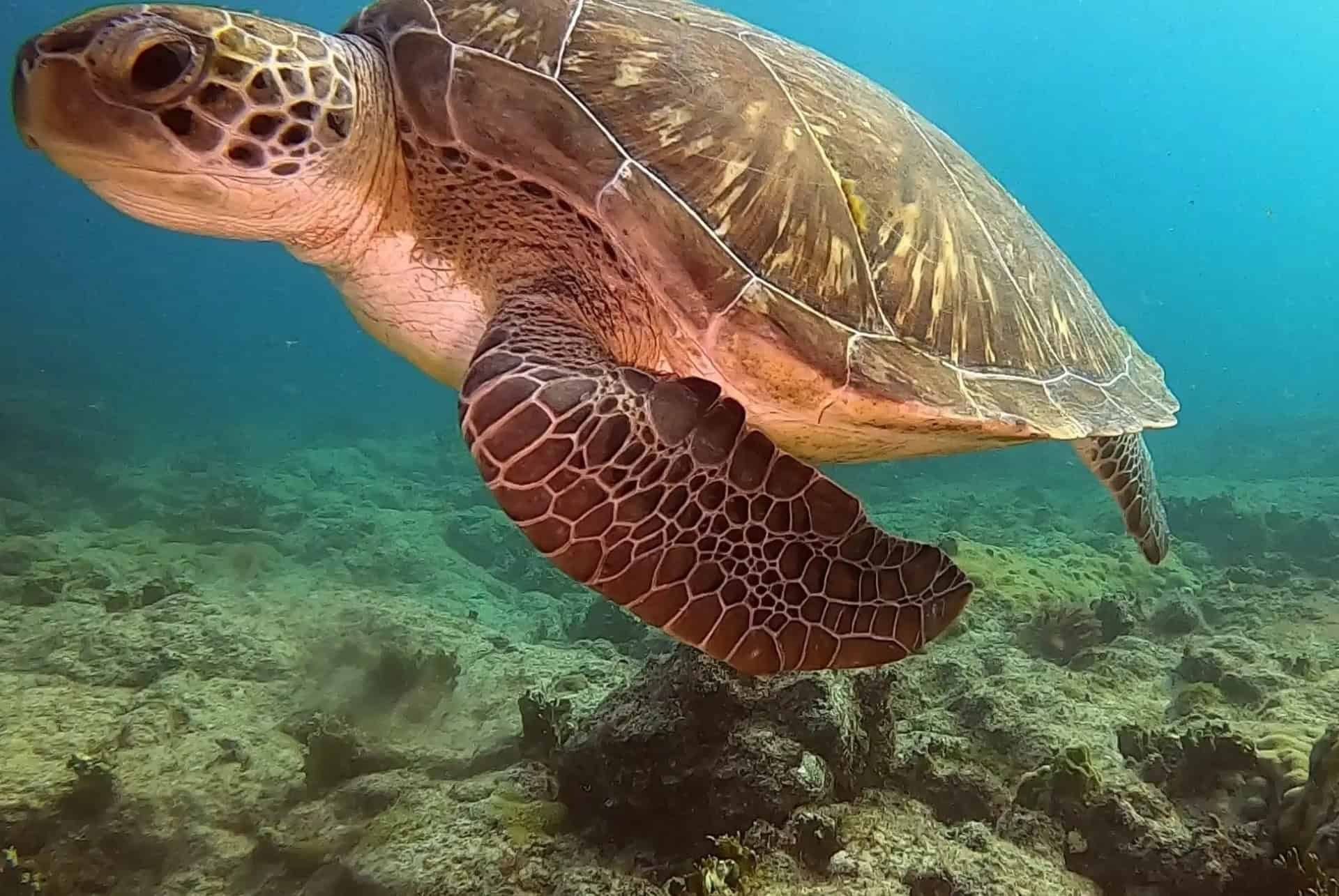 Excursion à Boa Vista