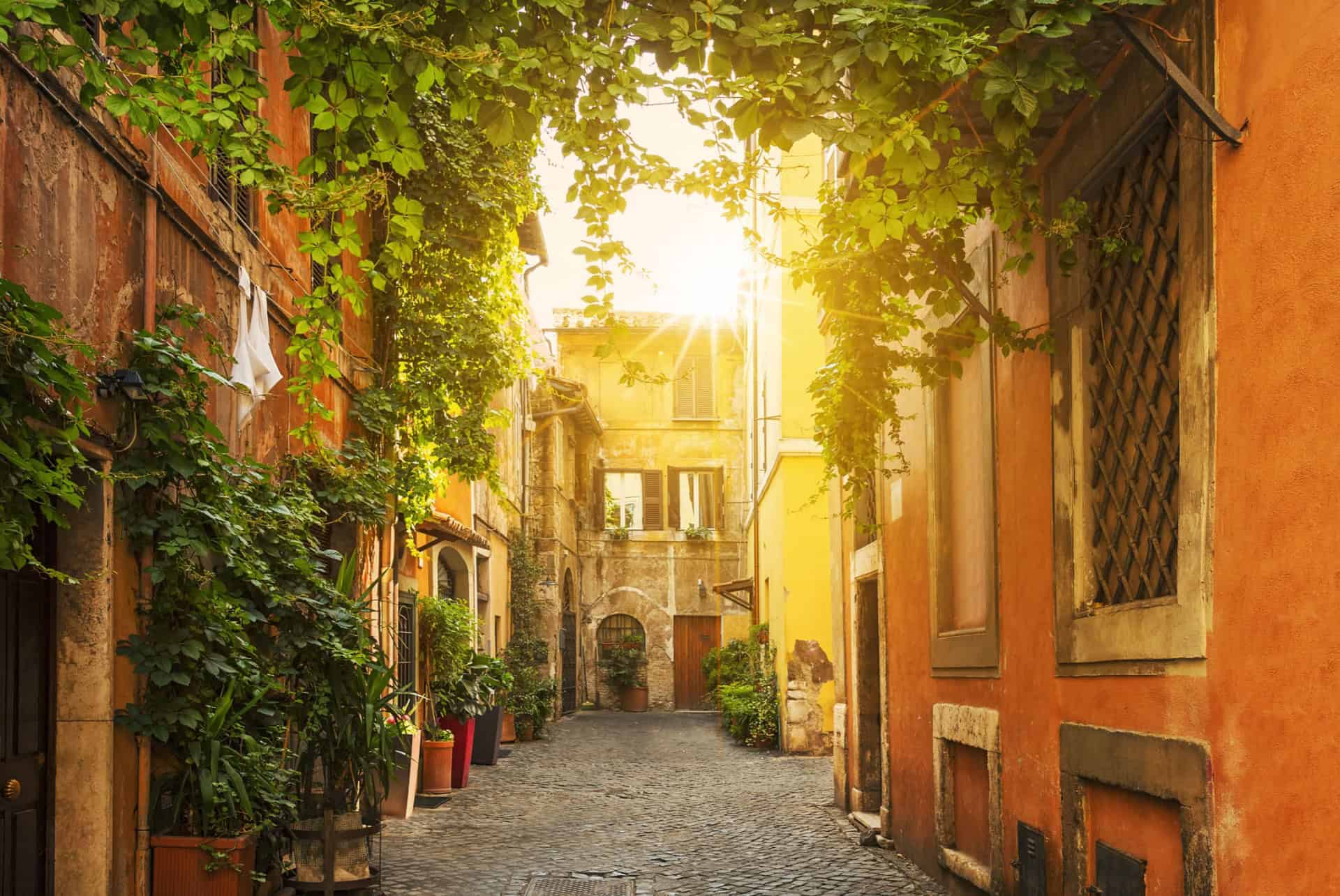 Ruelle pavée de Trastevere bordée de façades ocre et de plantes grimpantes
