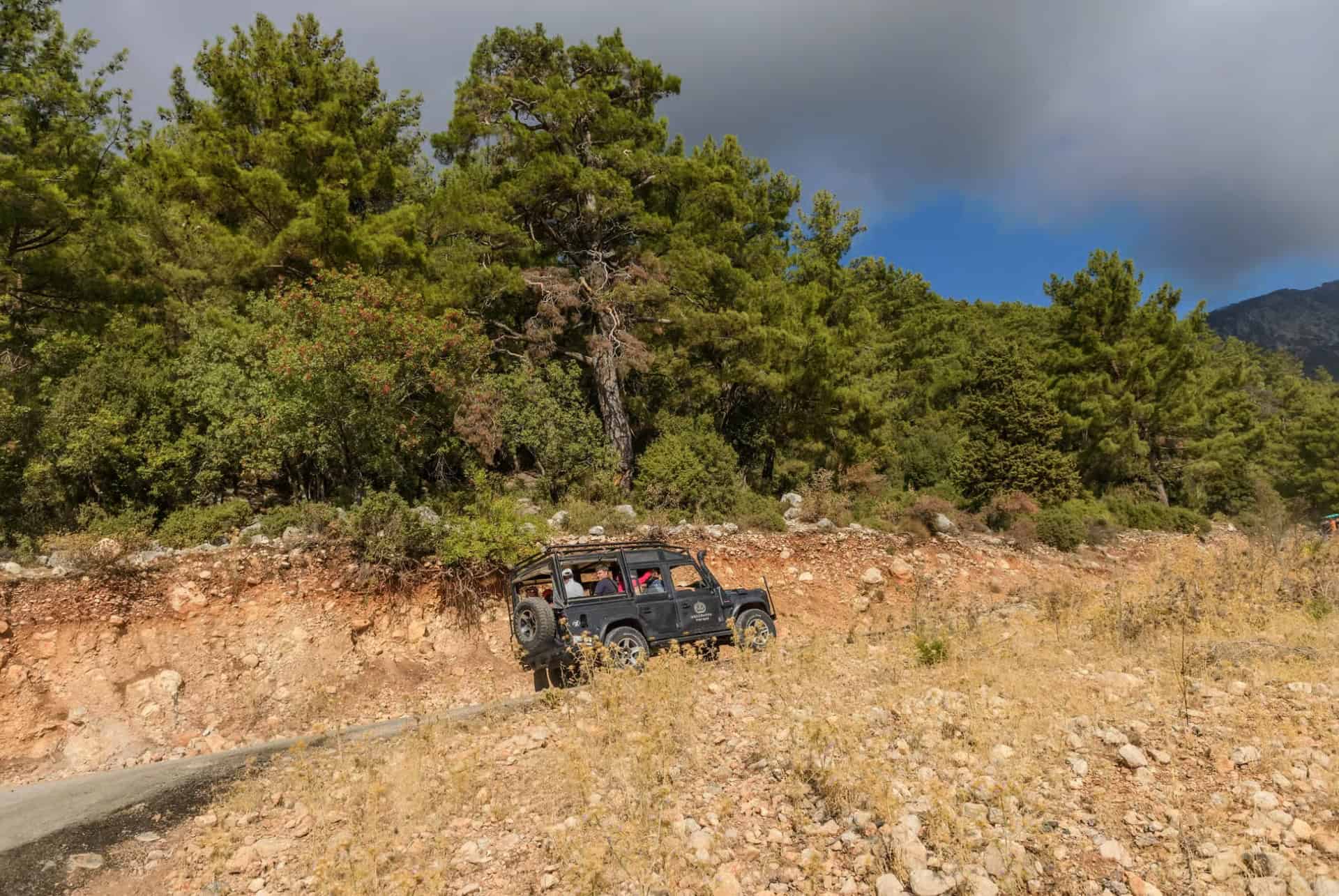 safari jeep