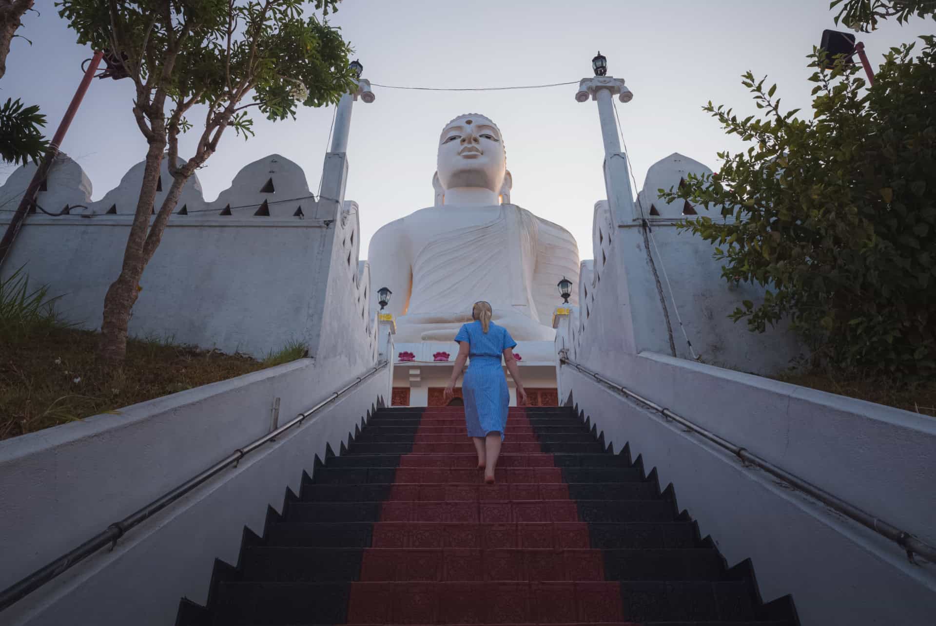 sri maha bodhi