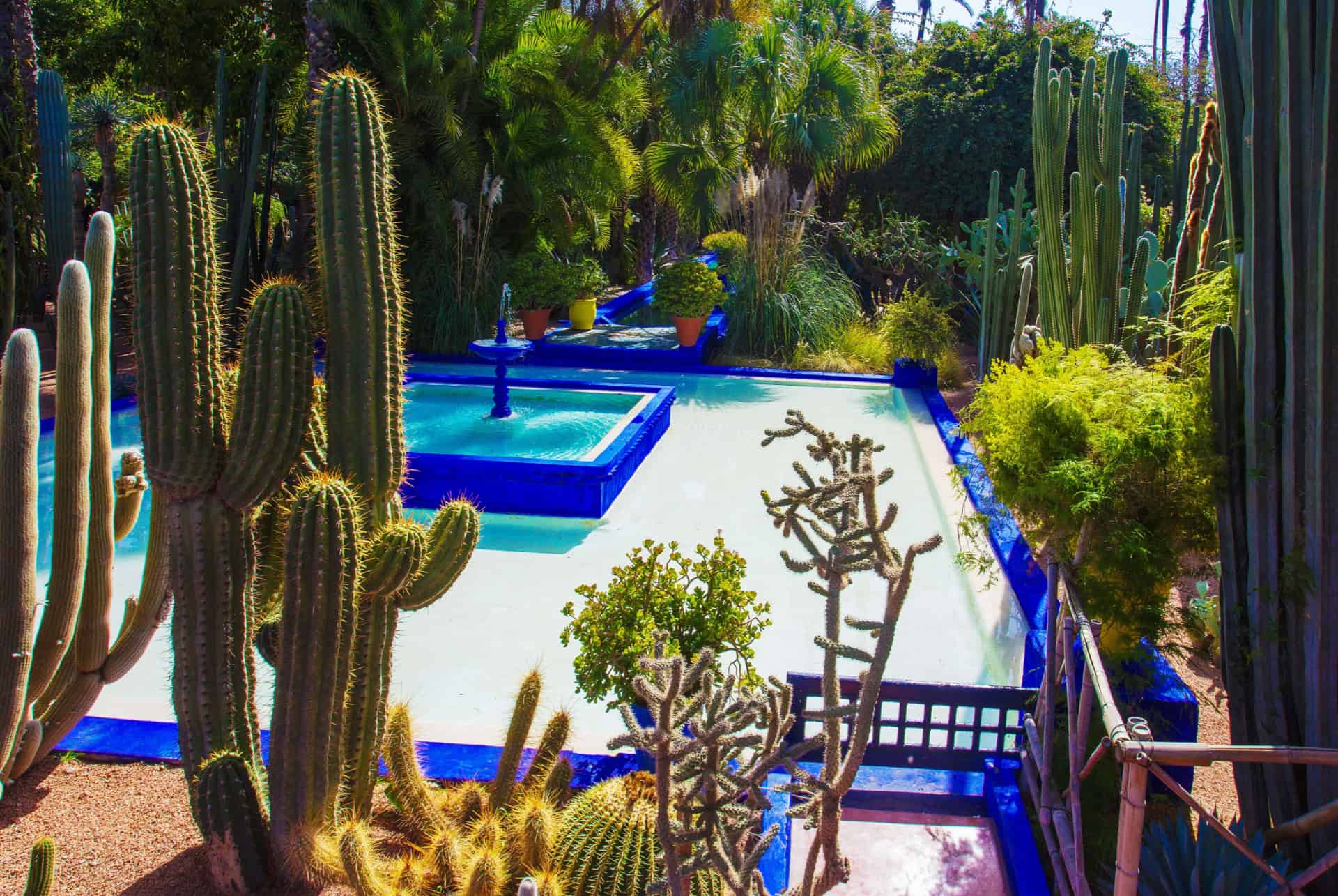 etang jardin majorelle