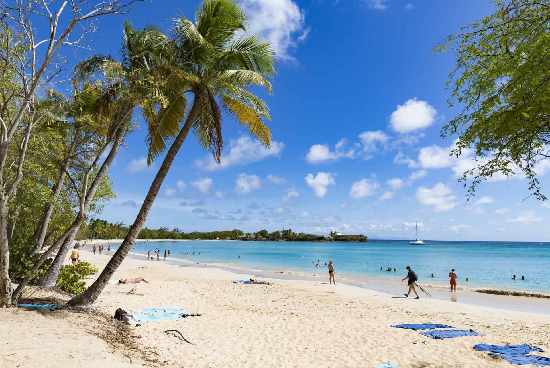 les salines que faire en martinique