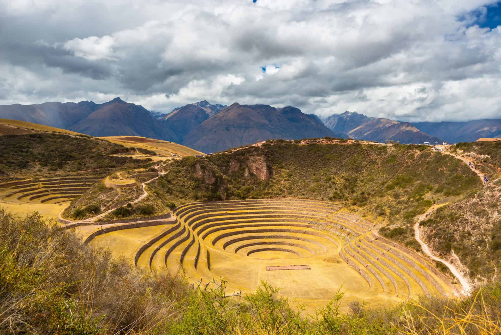 moray perou