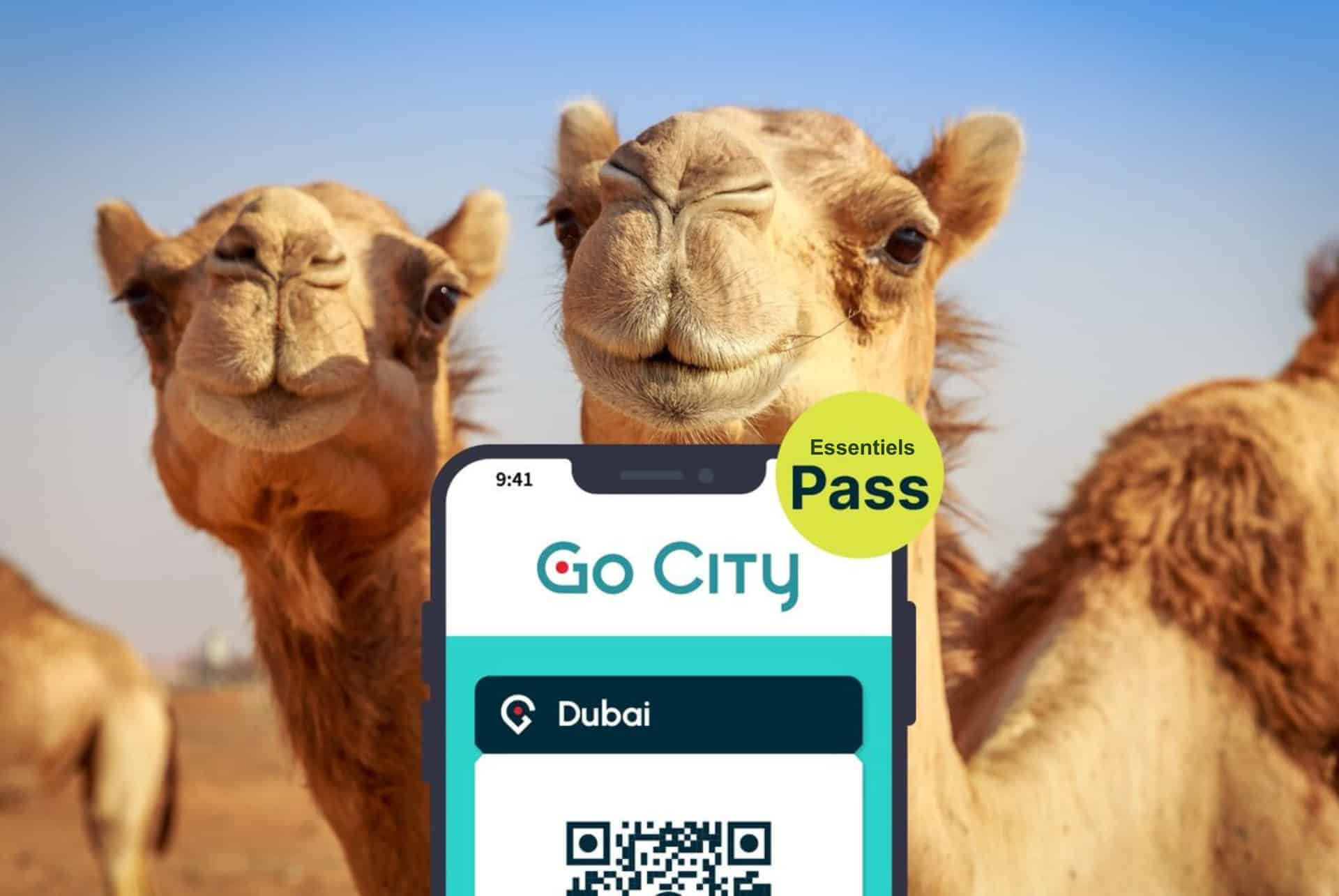 Essentials Pass Dubaï