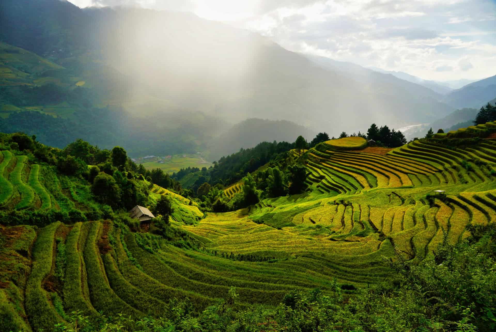 rizieres mu cang chai vietnam